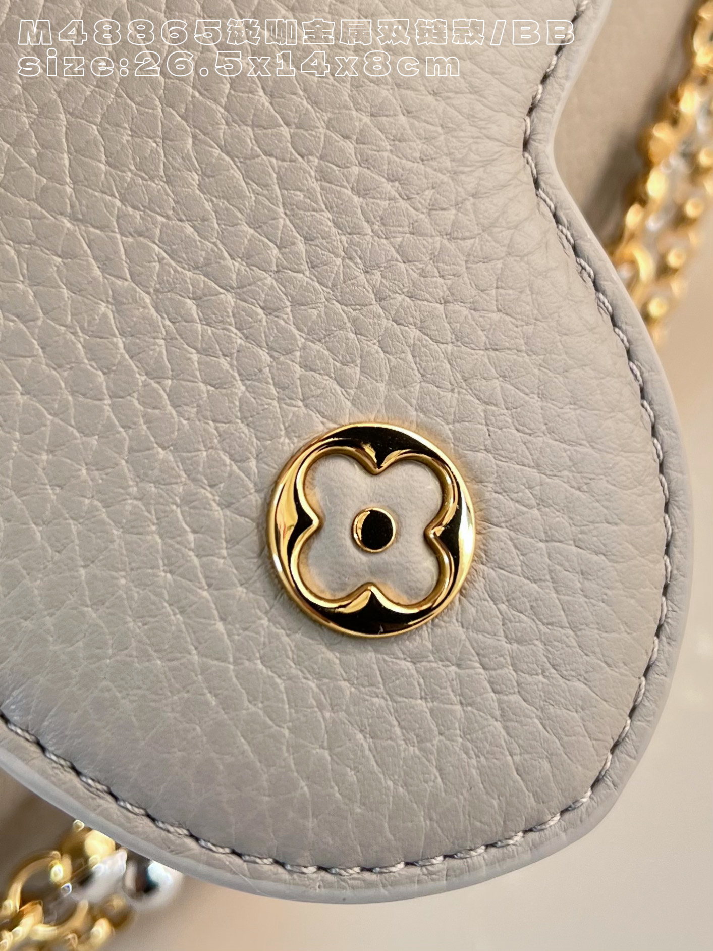 Louis Vuitton Basic Bag Cow Leather M-l-s