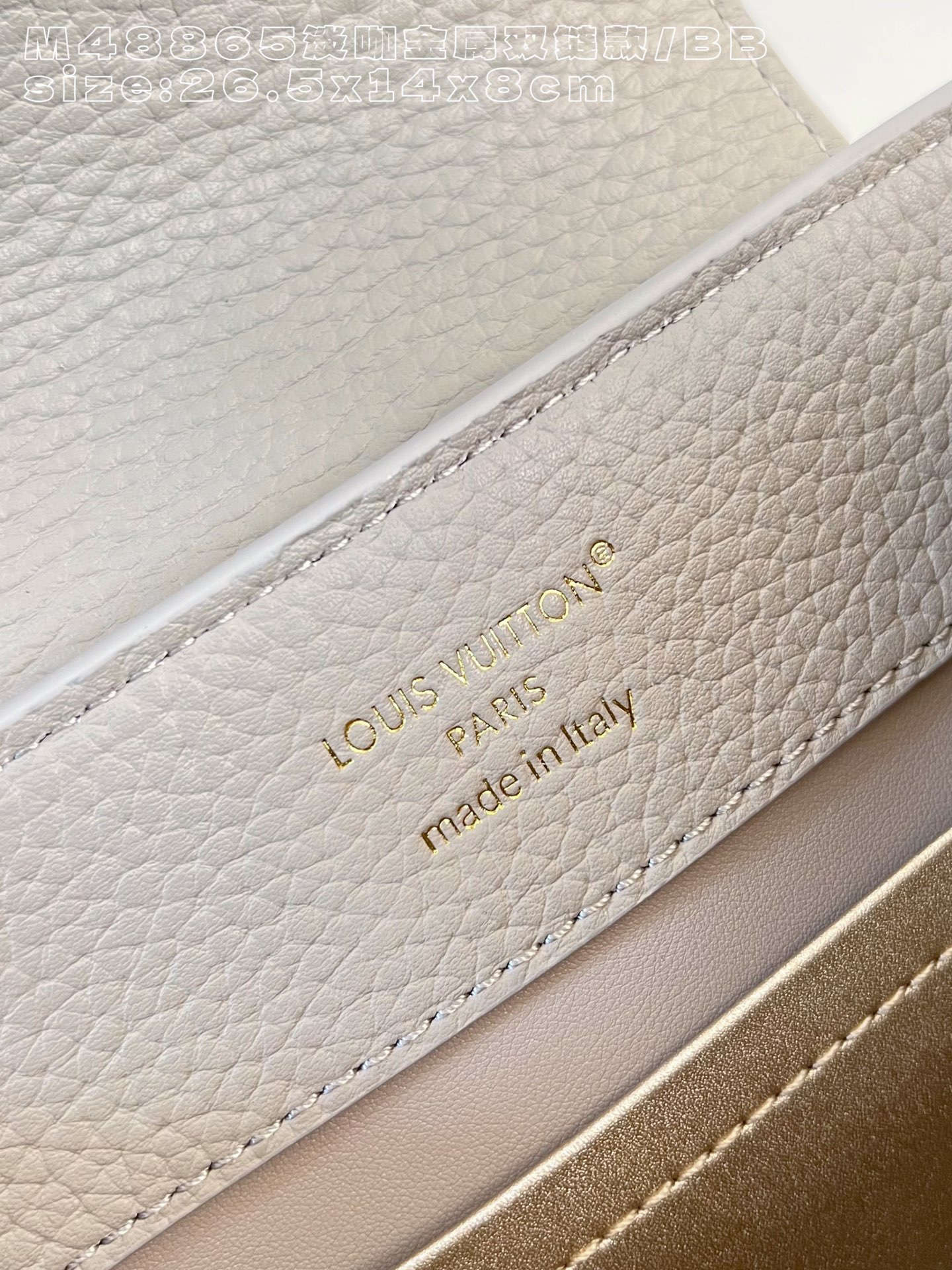 Louis Vuitton Basic Bag Cow Leather M-l-s