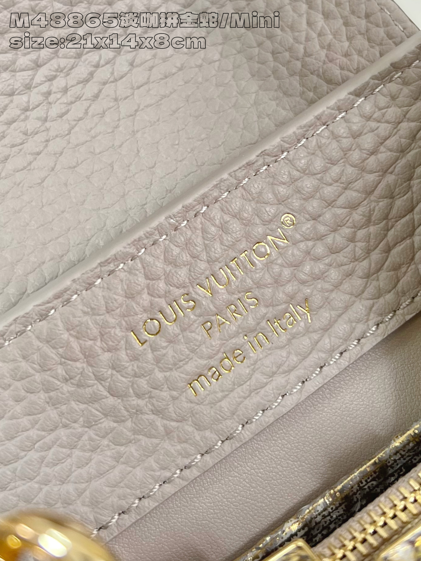 Louis Vuitton Basic Bag Cow Leather M-l-s