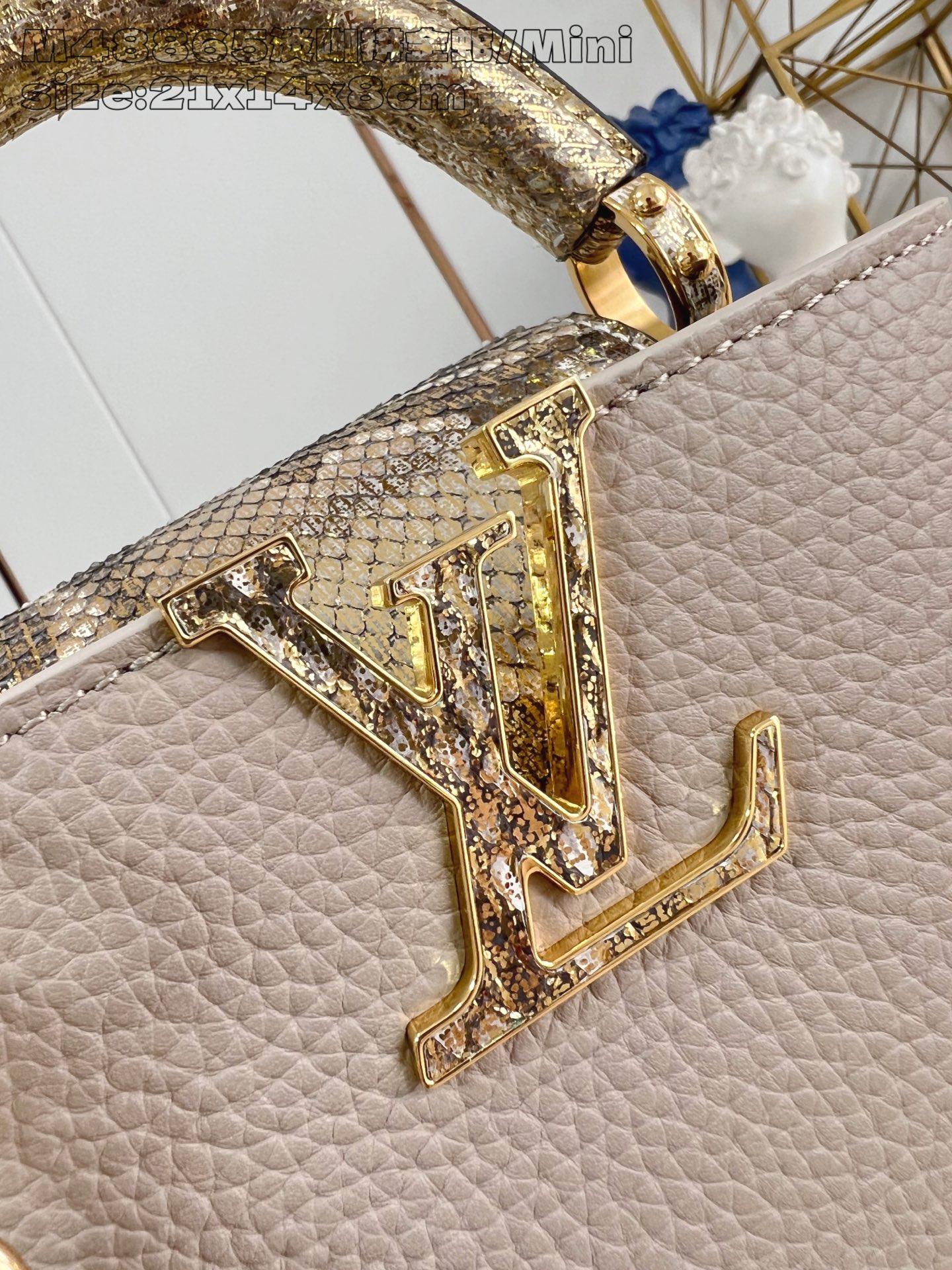 Louis Vuitton Basic Bag Cow Leather M-l-s