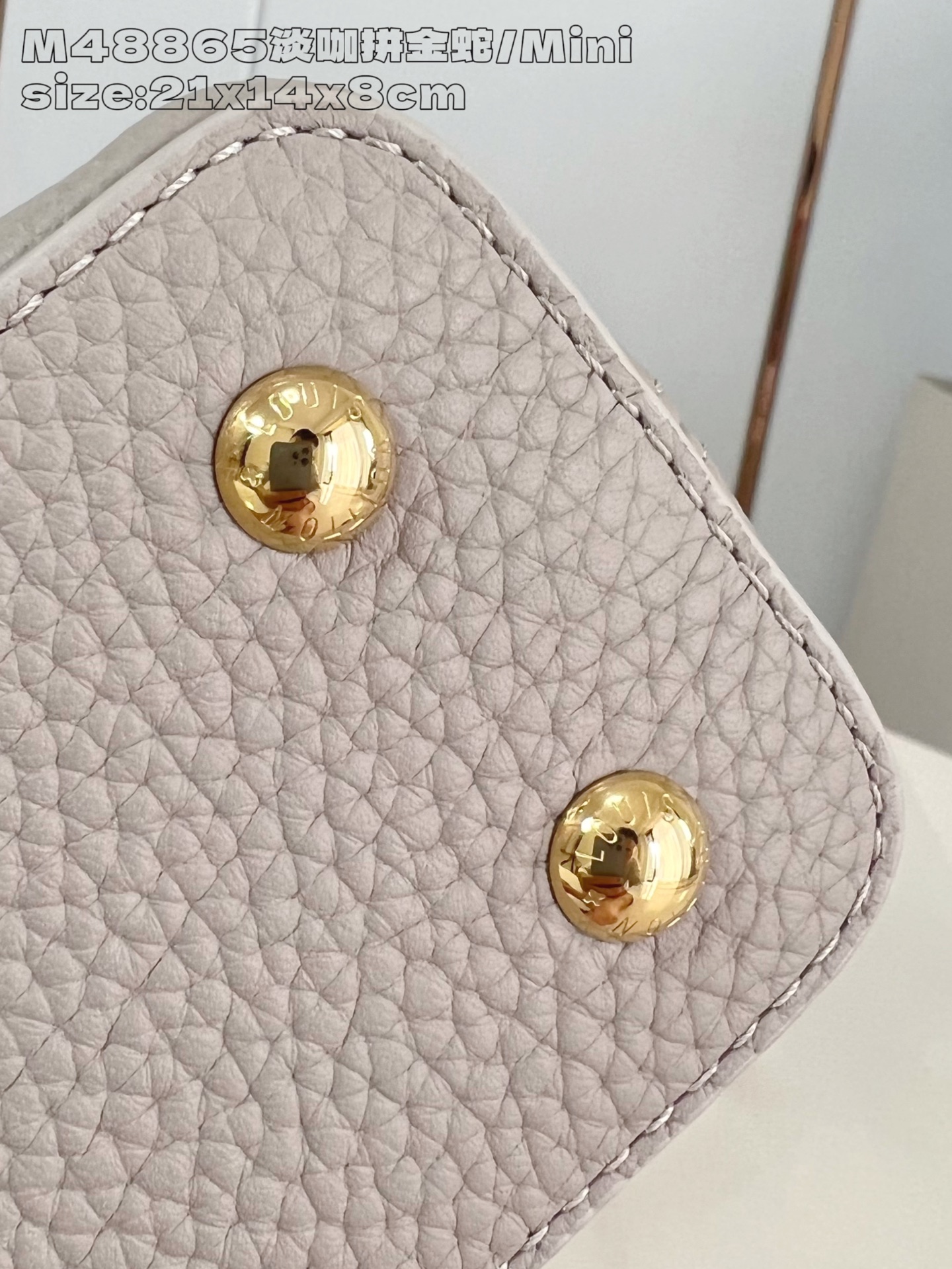 Louis Vuitton Basic Bag Cow Leather M-l-s