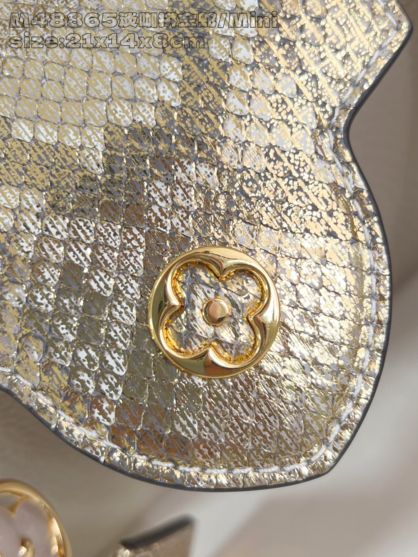 Louis Vuitton Basic Bag Cow Leather M-l-s