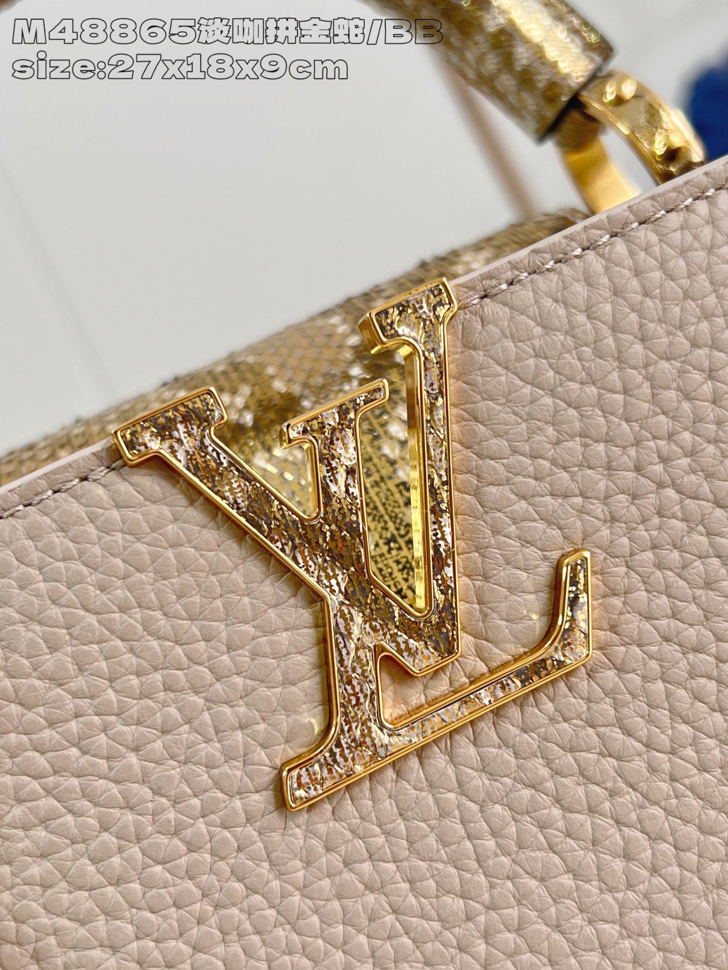 Louis Vuitton Basic Bag Cow Leather M-l-s