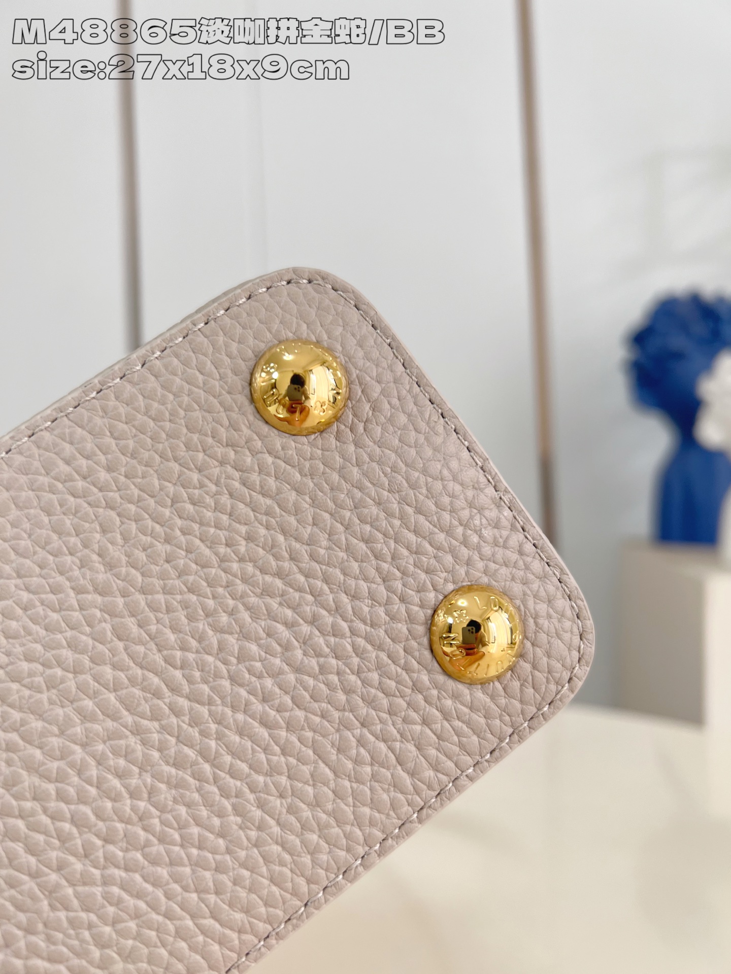 Louis Vuitton Basic Bag Cow Leather M-l-s