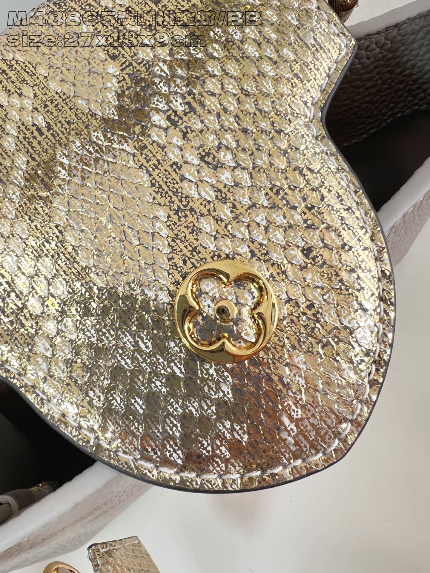 Louis Vuitton Basic Bag Cow Leather M-l-s