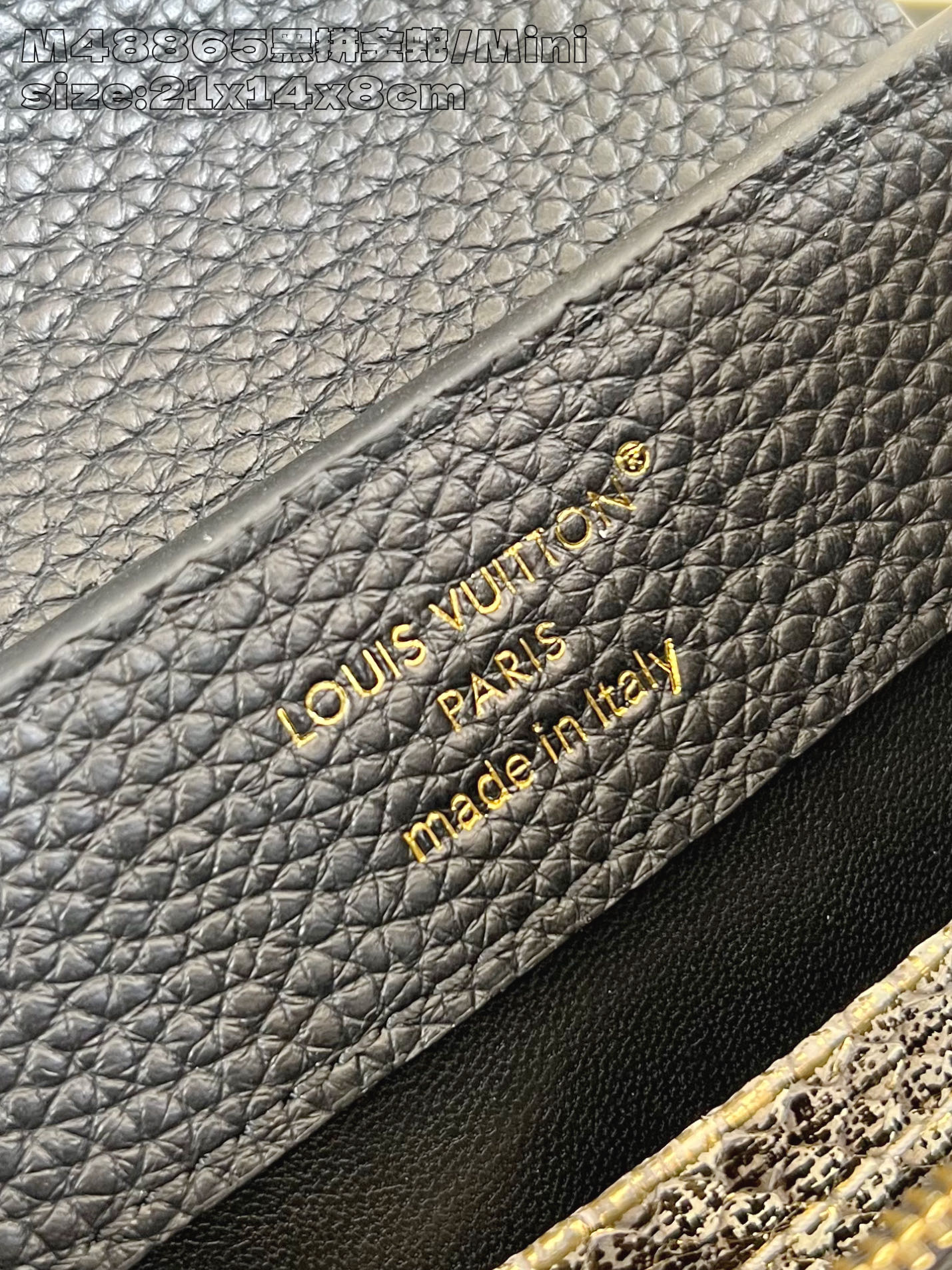 Louis Vuitton Basic Bag Cow Leather M-l-s