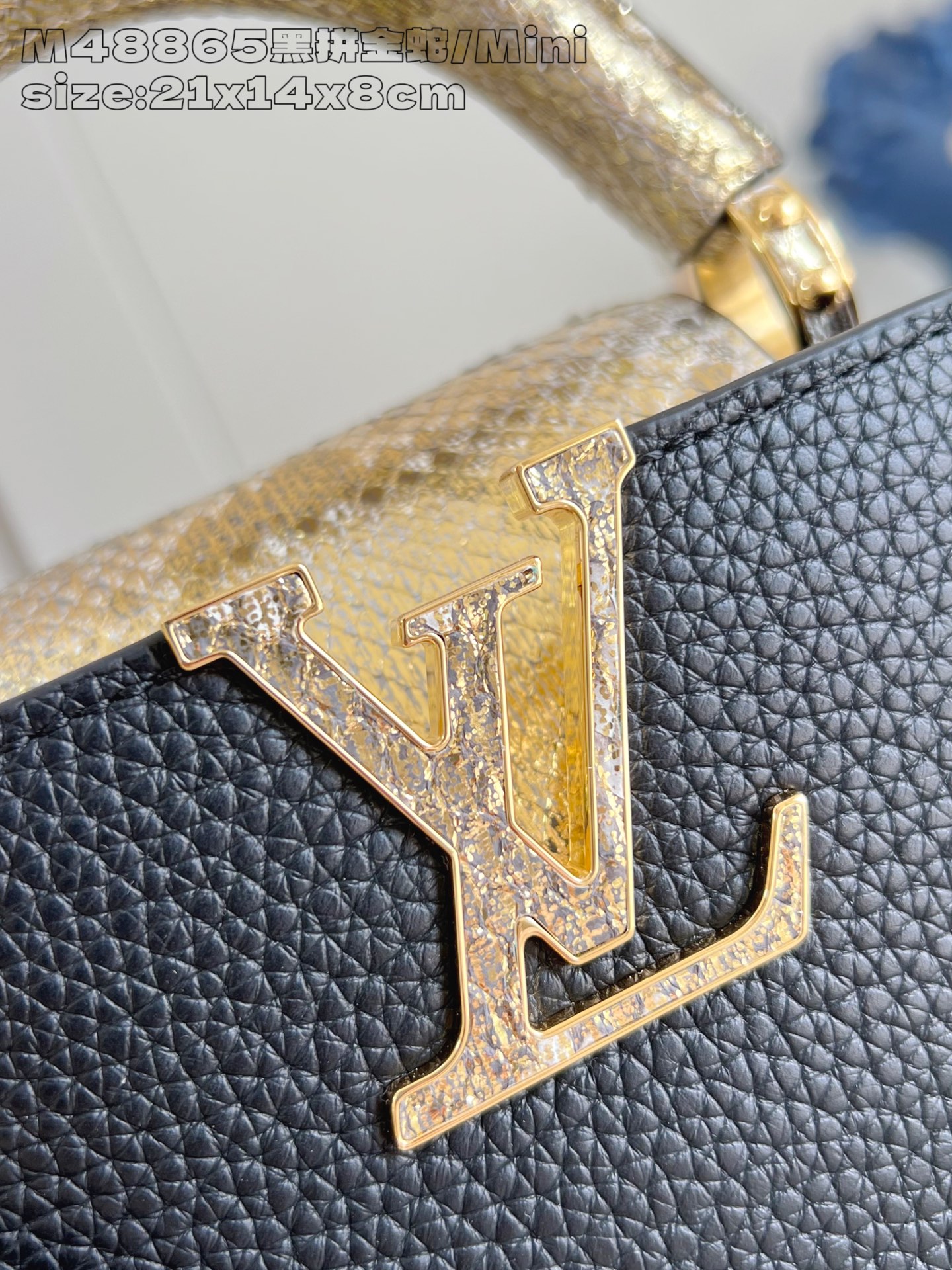 Louis Vuitton Basic Bag Cow Leather M-l-s