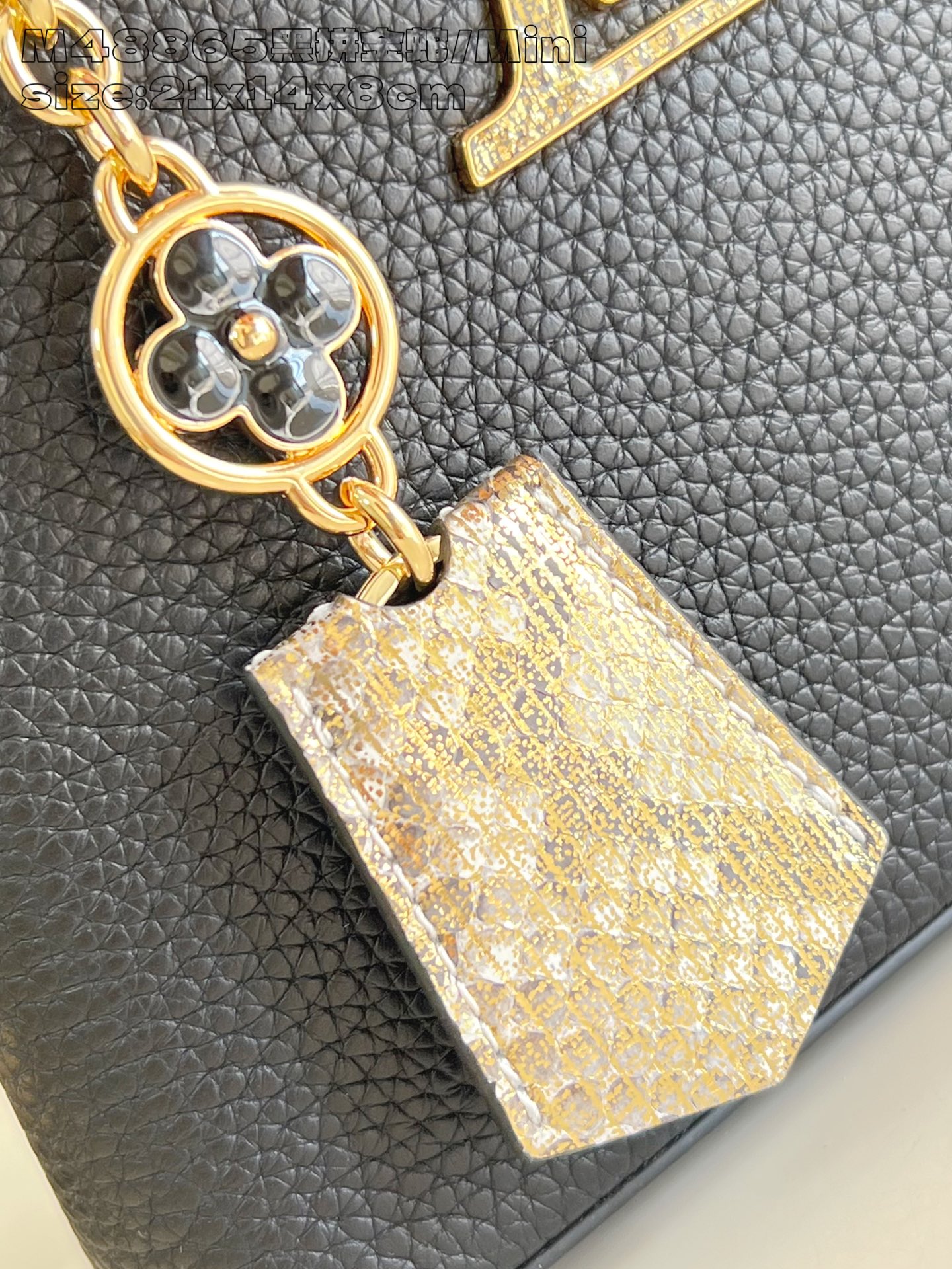 Louis Vuitton Basic Bag Cow Leather M-l-s