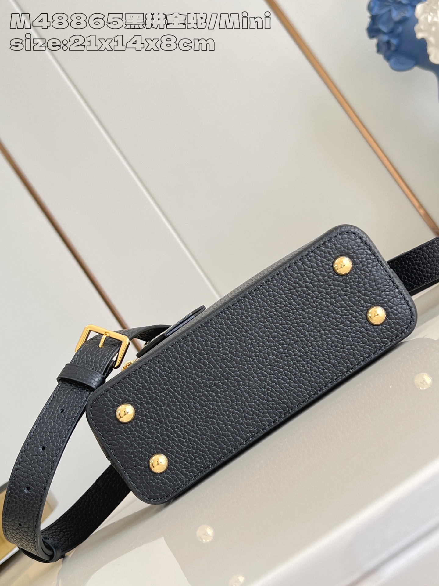 Louis Vuitton Basic Bag Cow Leather M-l-s