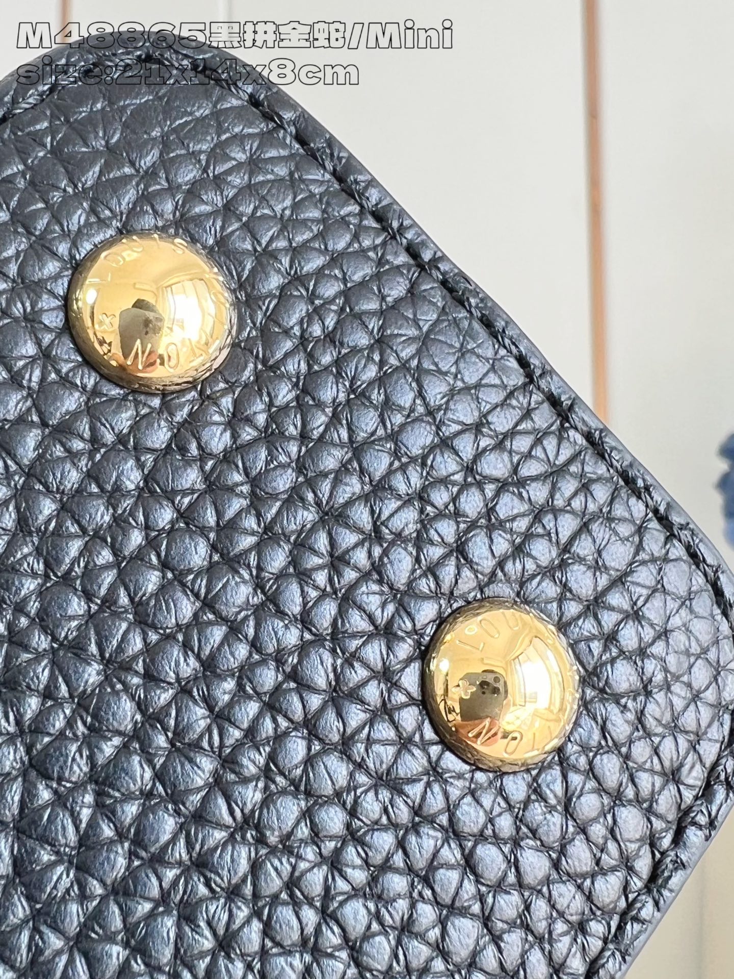 Louis Vuitton Basic Bag Cow Leather M-l-s