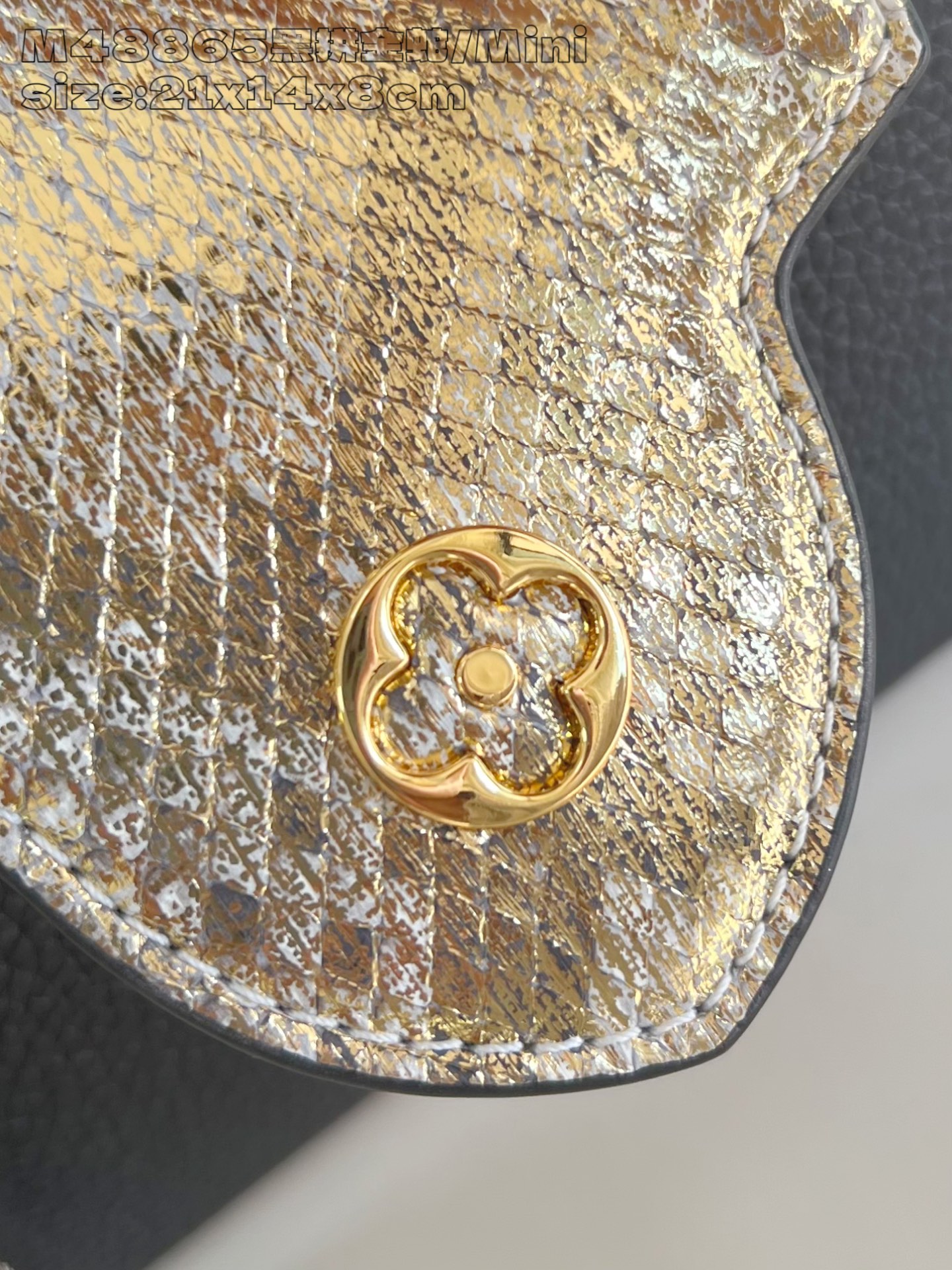 Louis Vuitton Basic Bag Cow Leather M-l-s