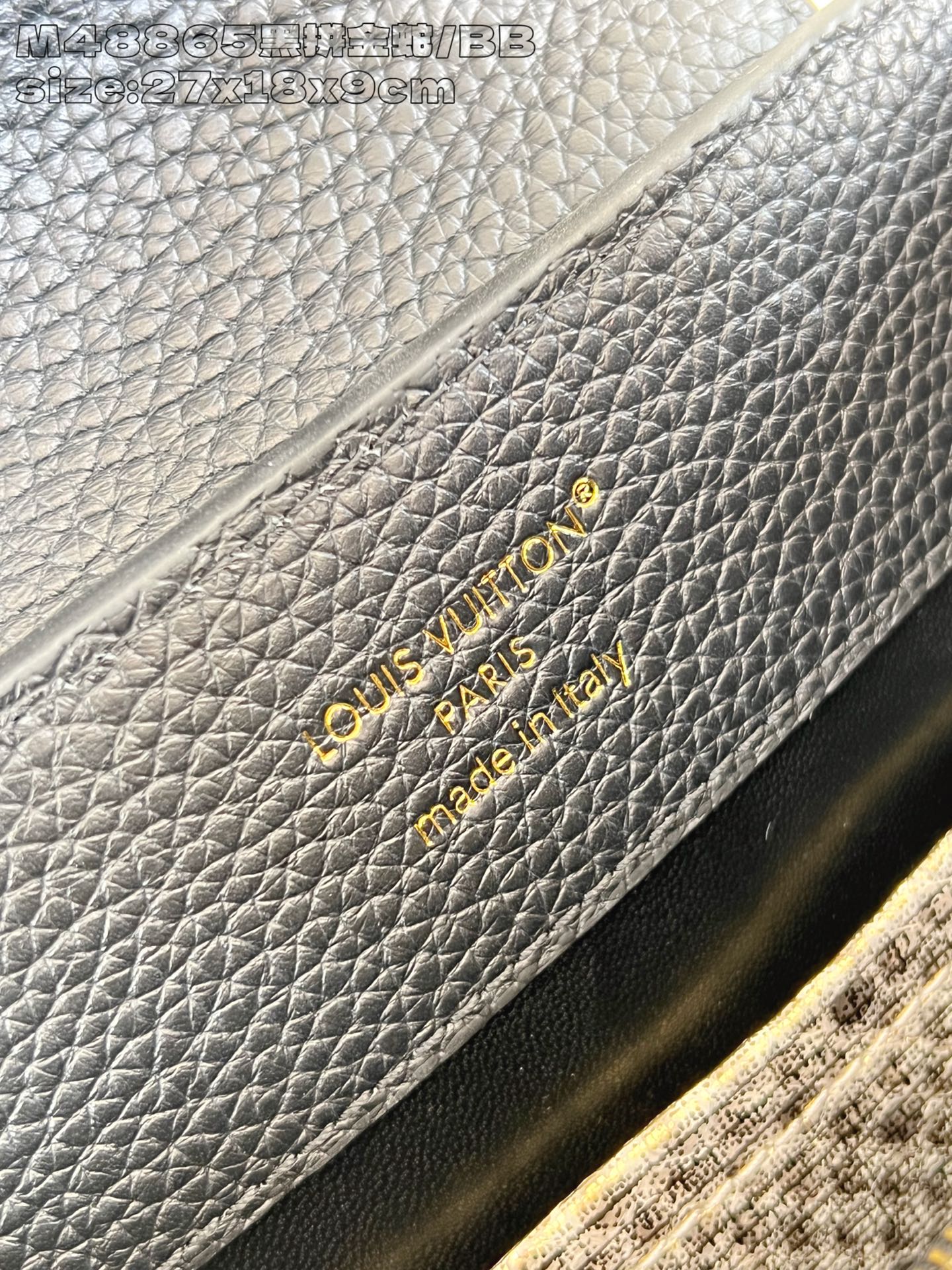 Louis Vuitton Basic Bag Cow Leather M-l-s