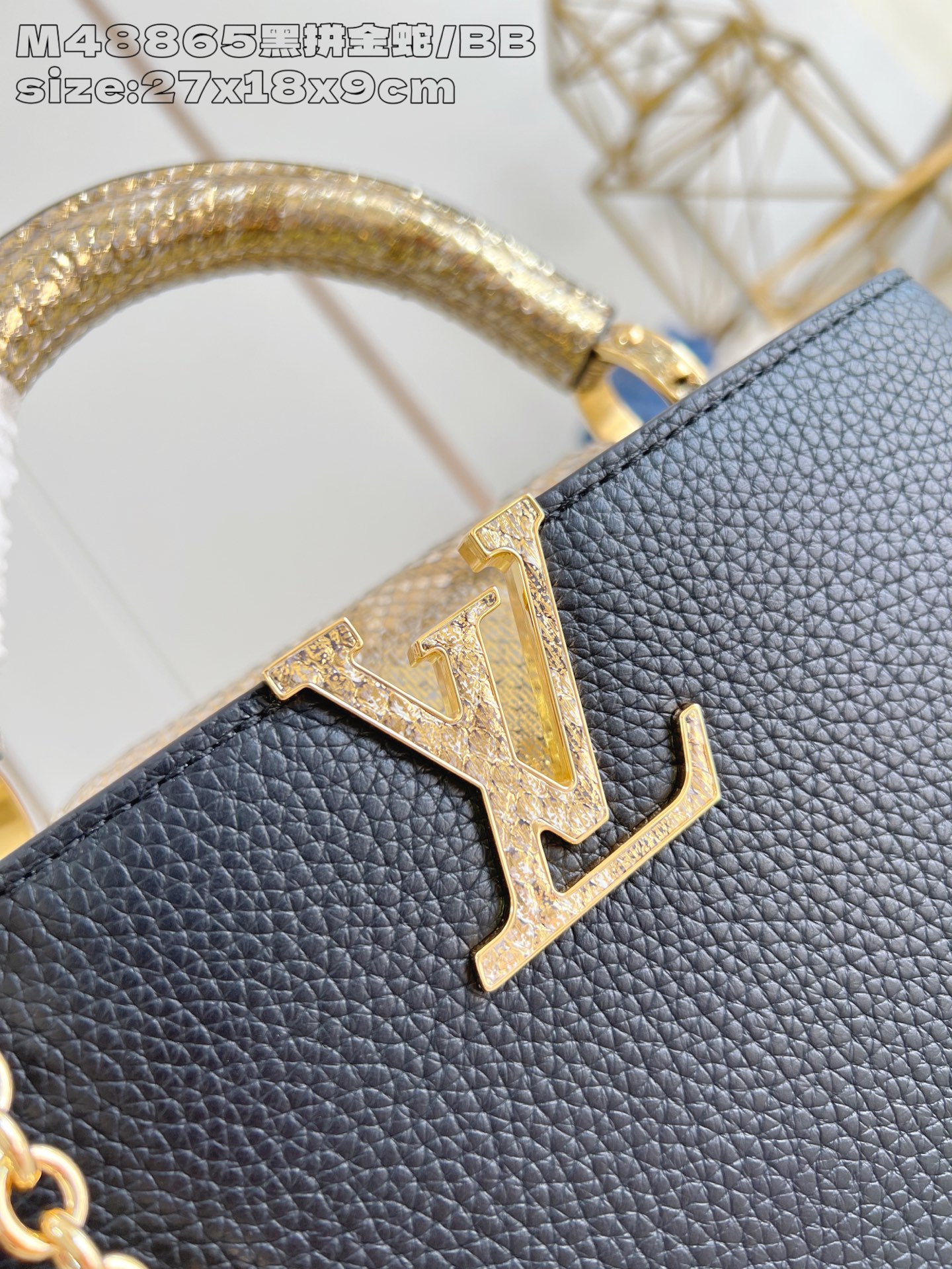 Louis Vuitton Basic Bag Cow Leather M-l-s