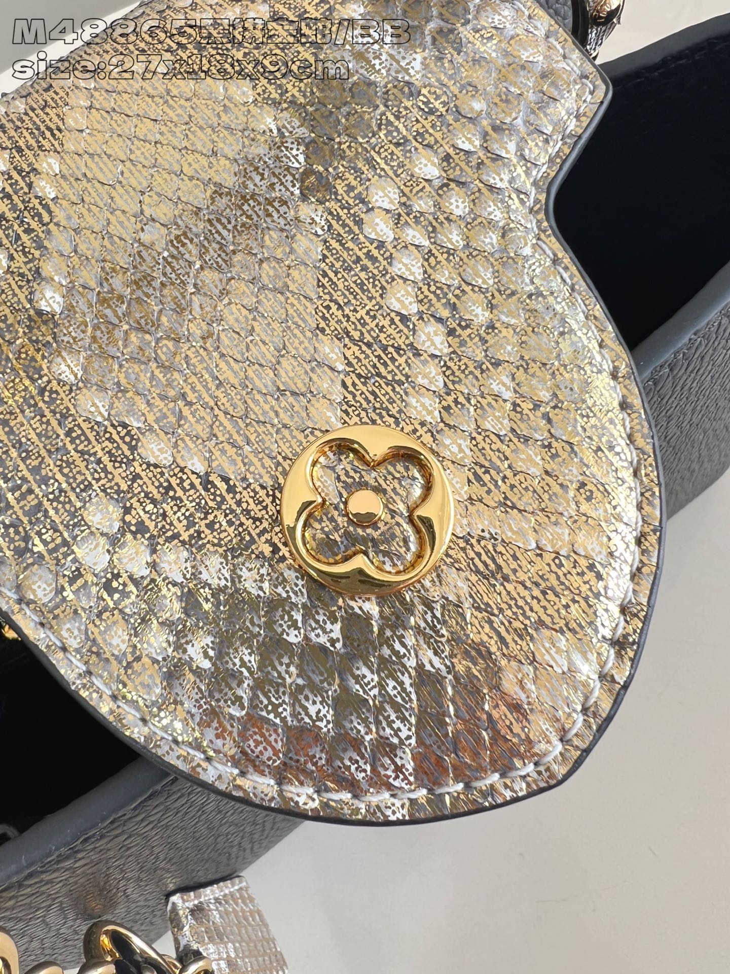 Louis Vuitton Basic Bag Cow Leather M-l-s