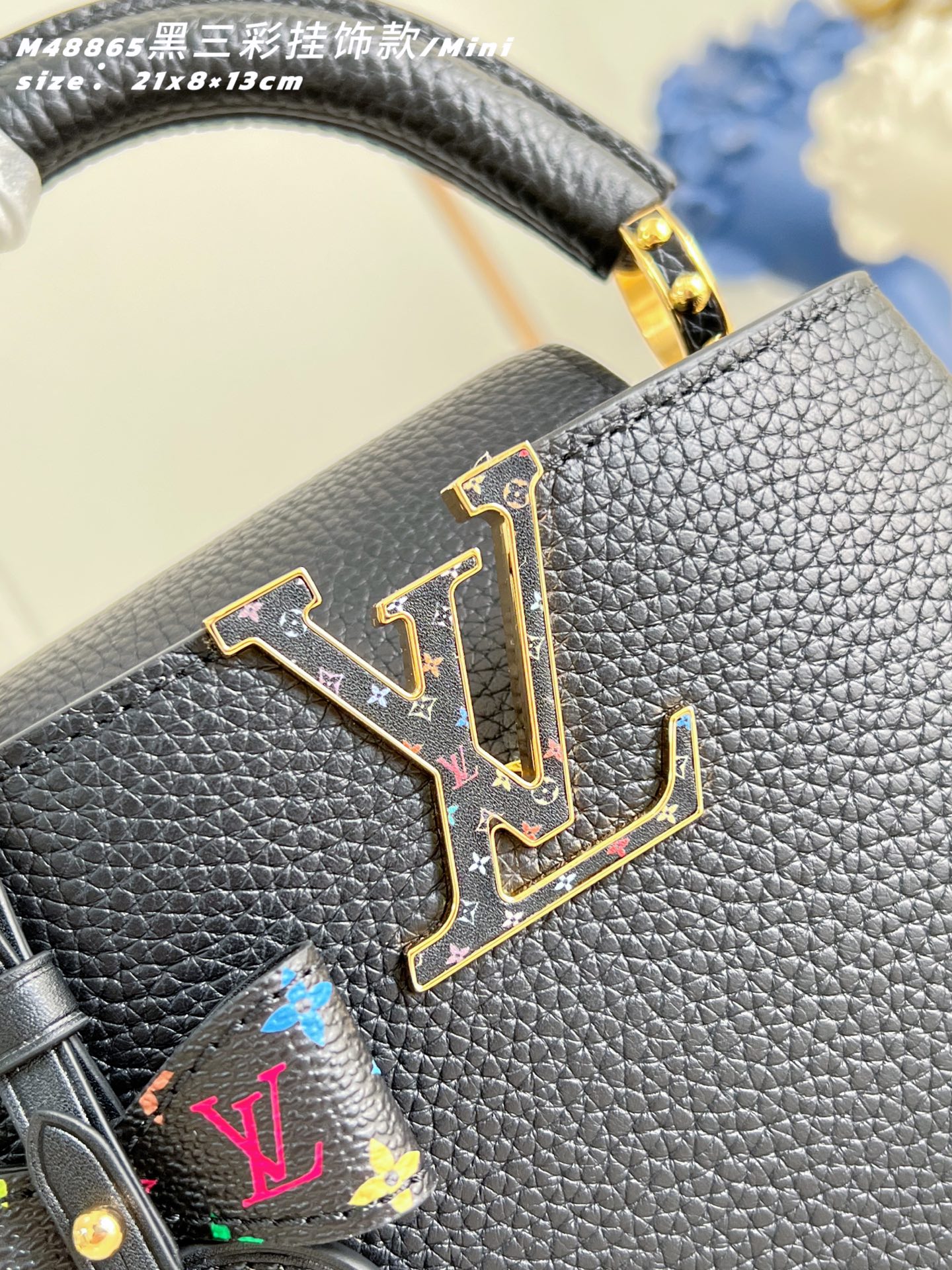Louis Vuitton Basic Bag Cow Leather M-l-s