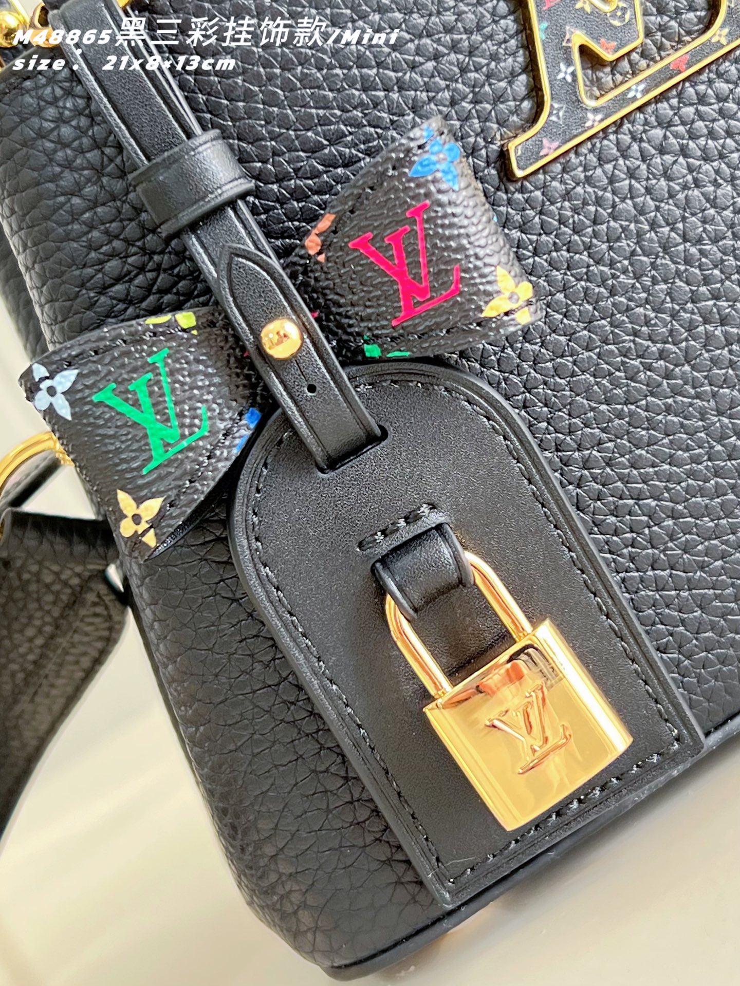 Louis Vuitton Basic Bag Cow Leather M-l-s