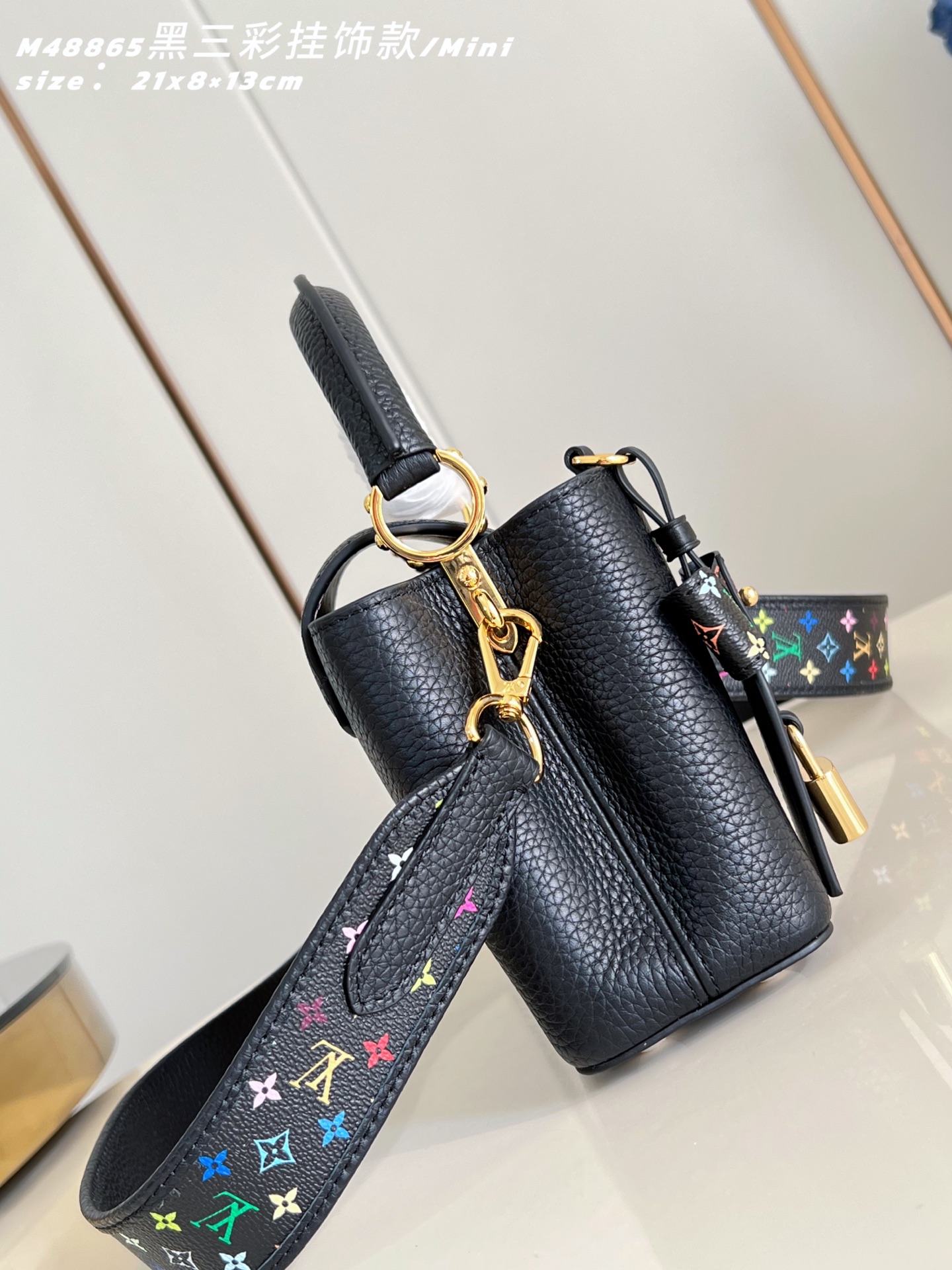 Louis Vuitton Basic Bag Cow Leather M-l-s