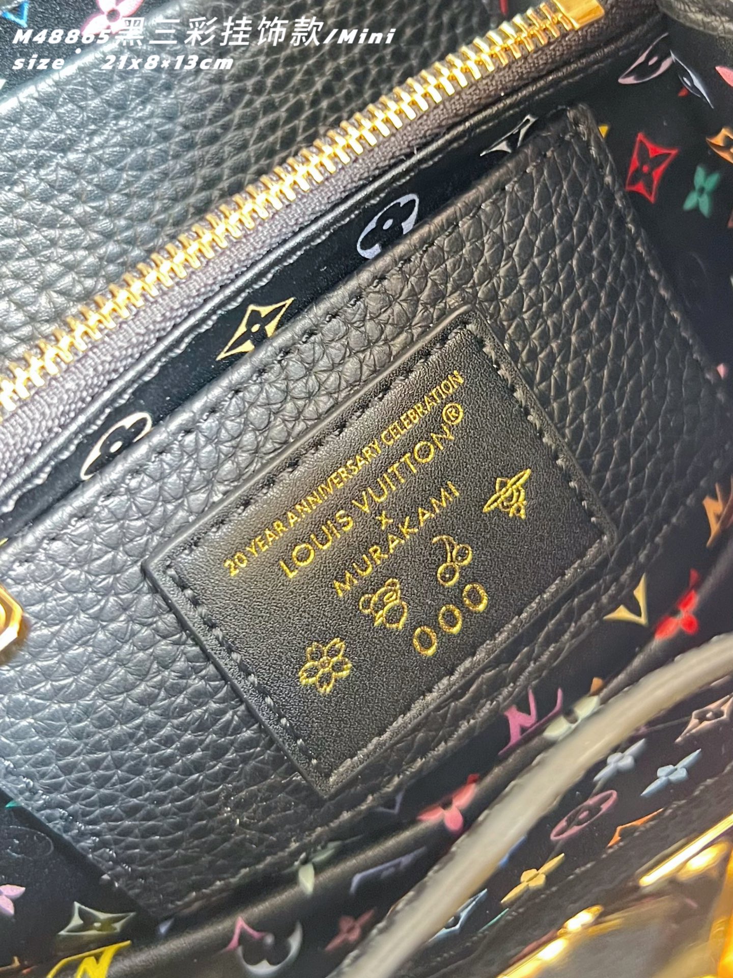 Louis Vuitton Basic Bag Cow Leather M-l-s