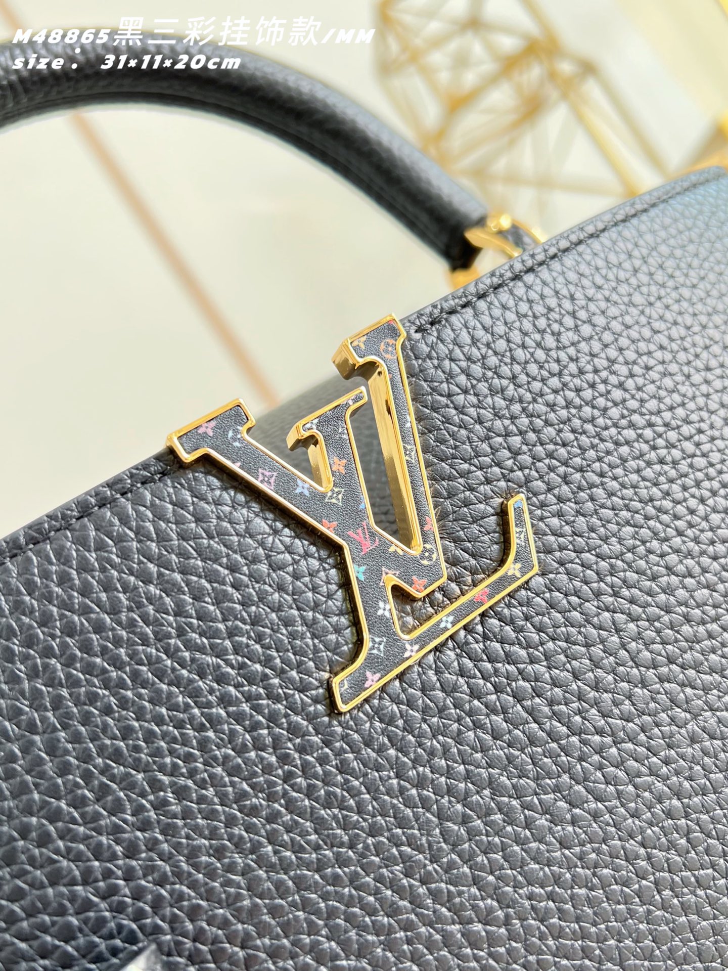 Louis Vuitton Basic Bag Cow Leather M-l-s