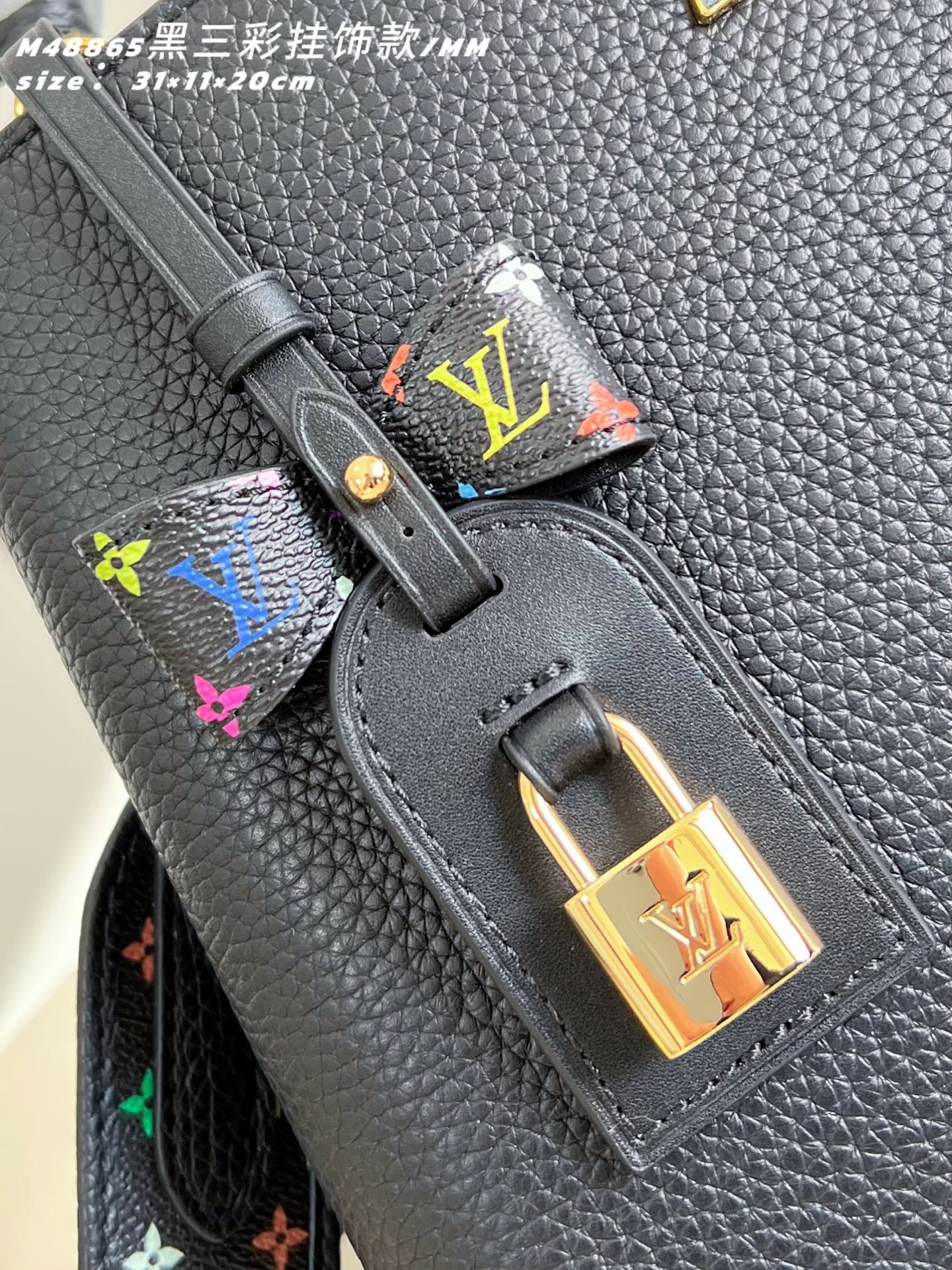 Louis Vuitton Basic Bag Cow Leather M-l-s