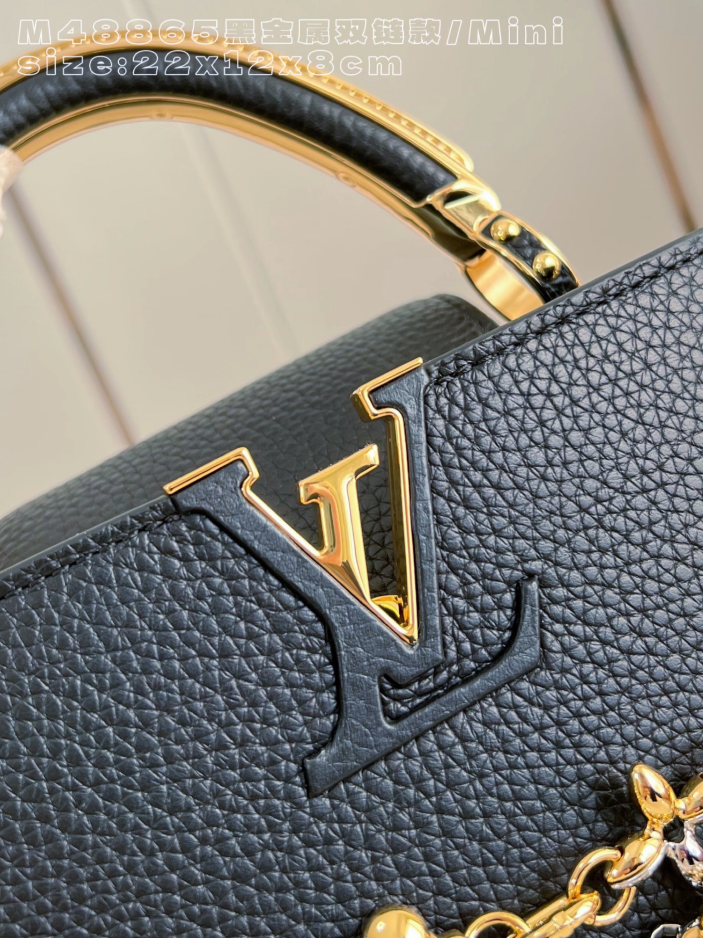 Louis Vuitton Basic Bag Cow Leather Black M-l-s