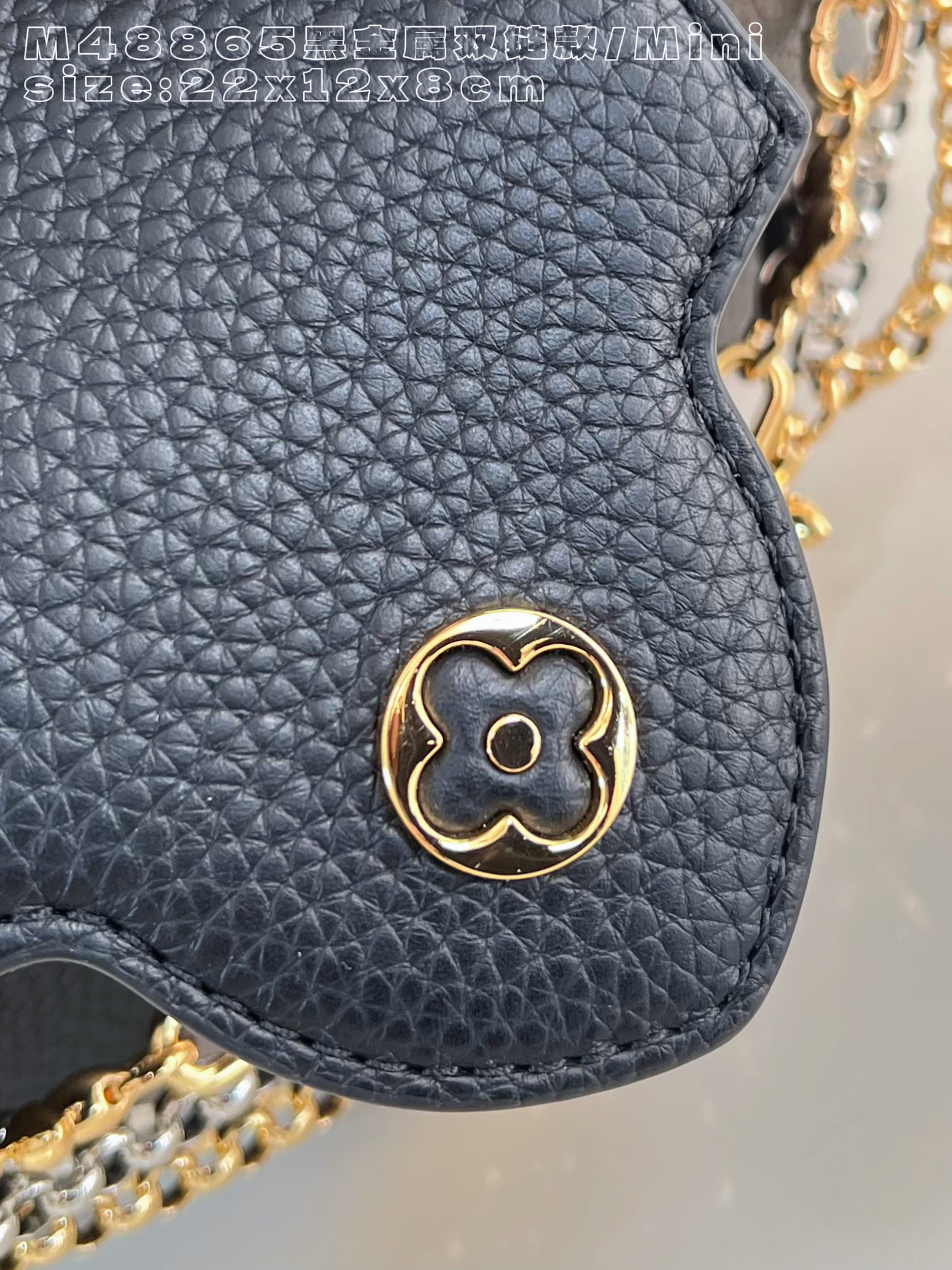 Louis Vuitton Basic Bag Cow Leather Black M-l-s