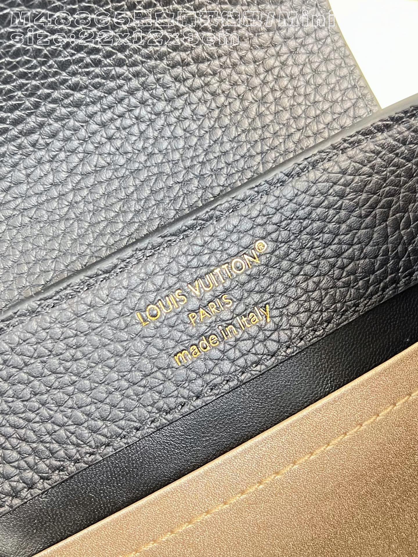 Louis Vuitton Basic Bag Cow Leather Black M-l-s