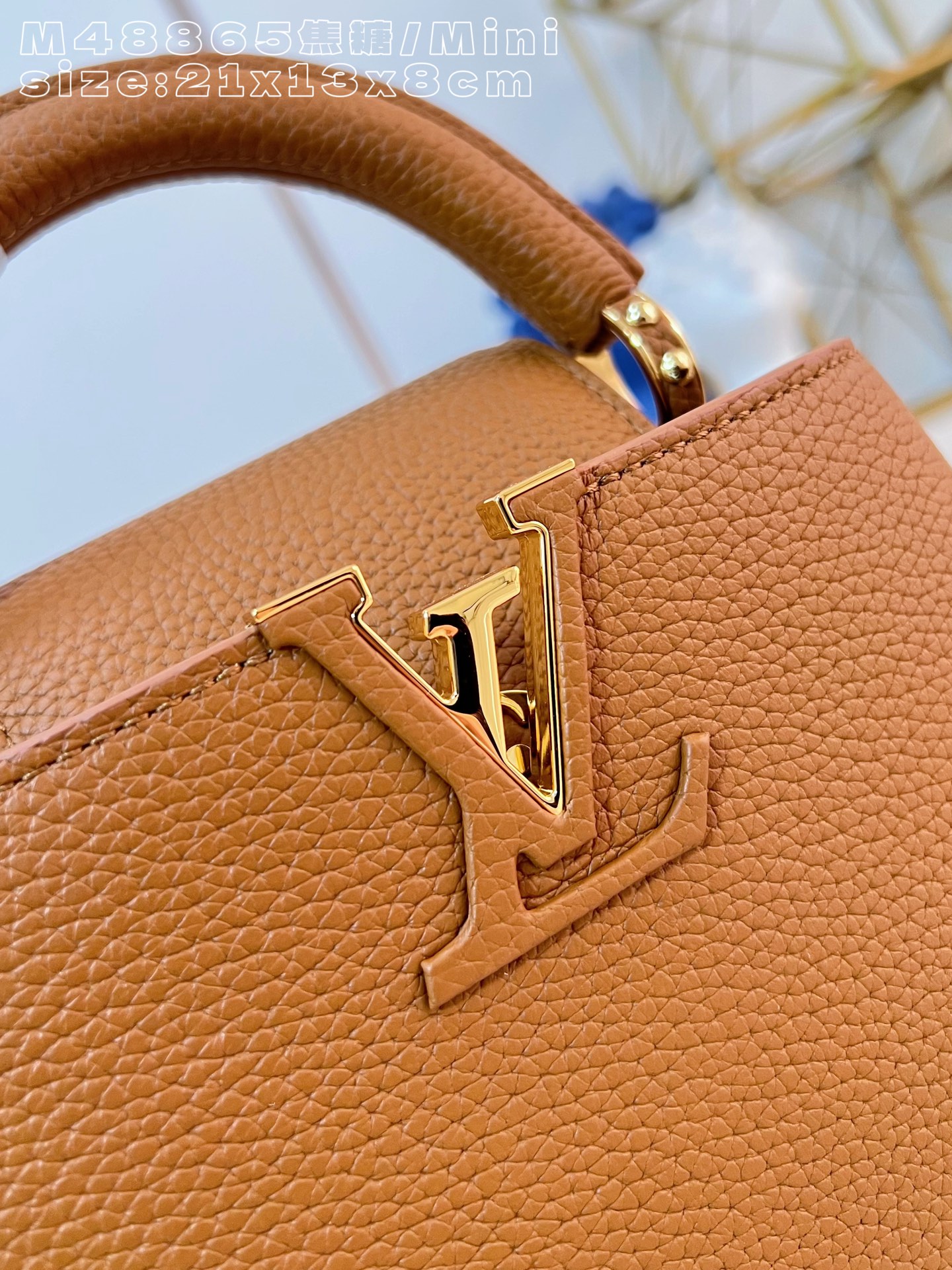 Louis Vuitton Basic Bag Cow Leather M-l-s