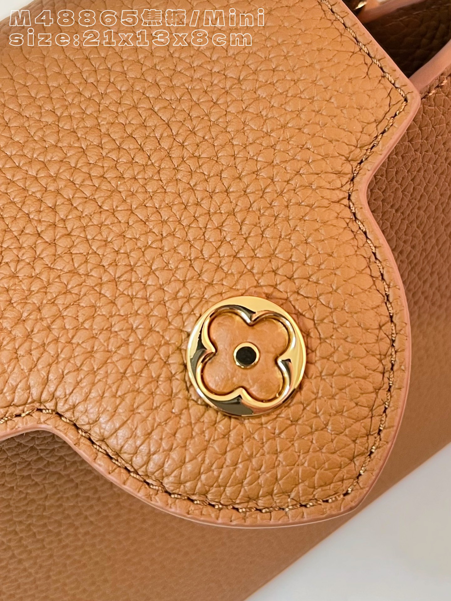 Louis Vuitton Basic Bag Cow Leather M-l-s