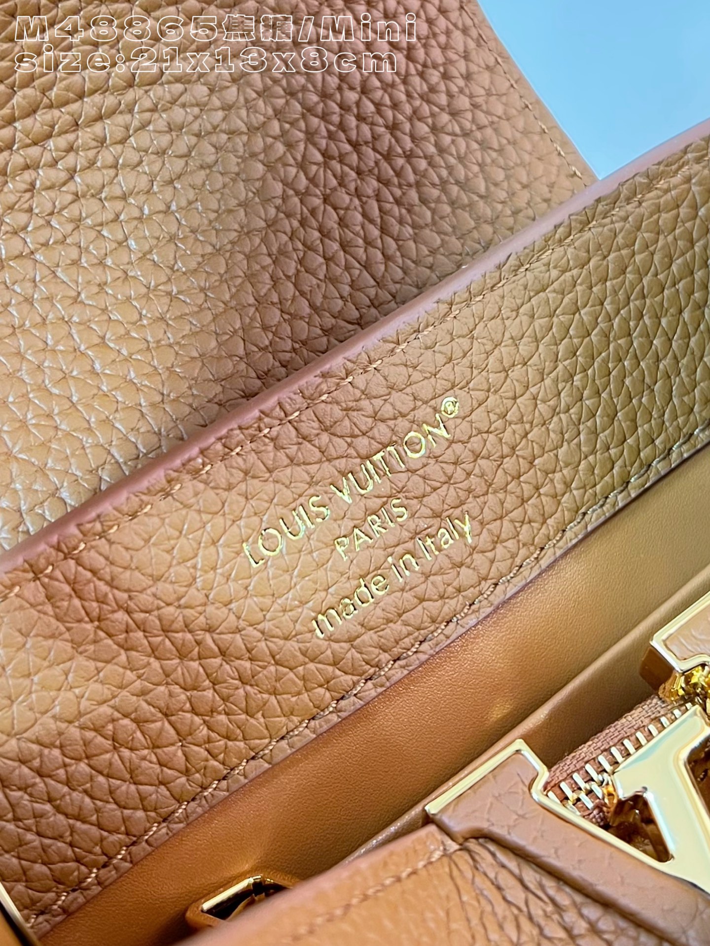 Louis Vuitton Basic Bag Cow Leather M-l-s