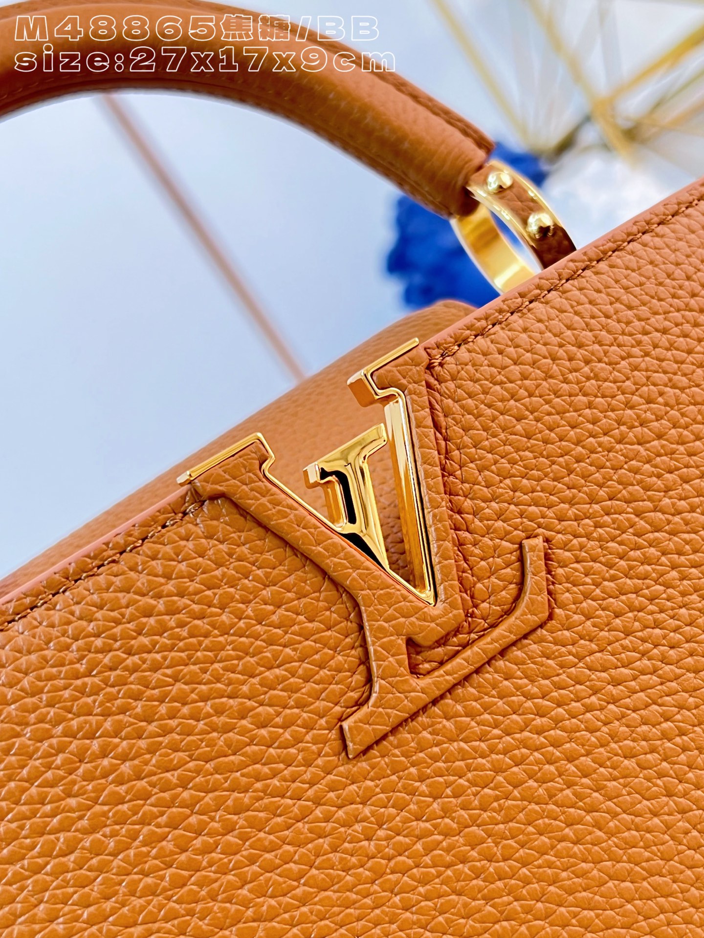 Louis Vuitton Basic Bag Cow Leather M-l-s