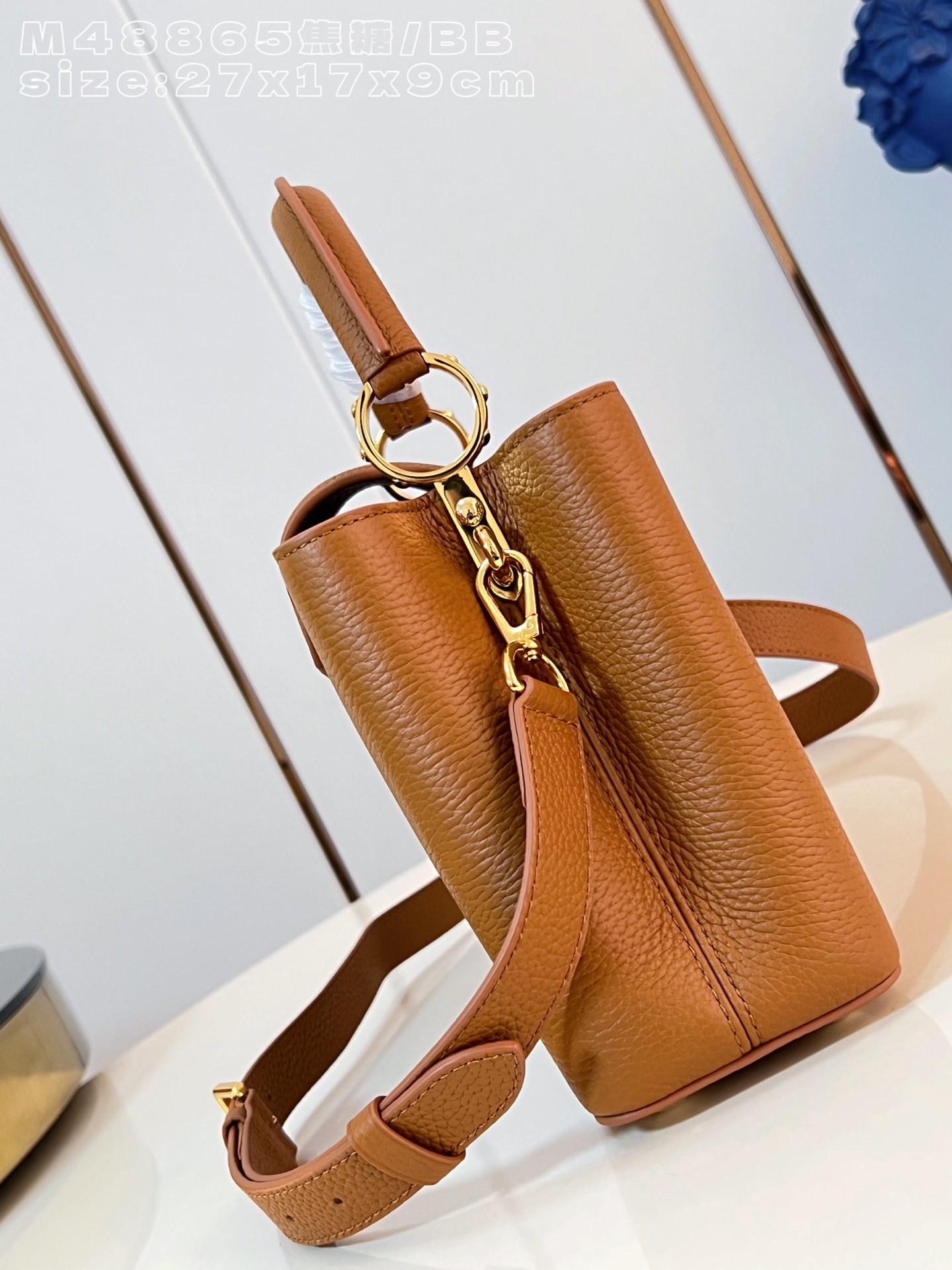 Louis Vuitton Basic Bag Cow Leather M-l-s