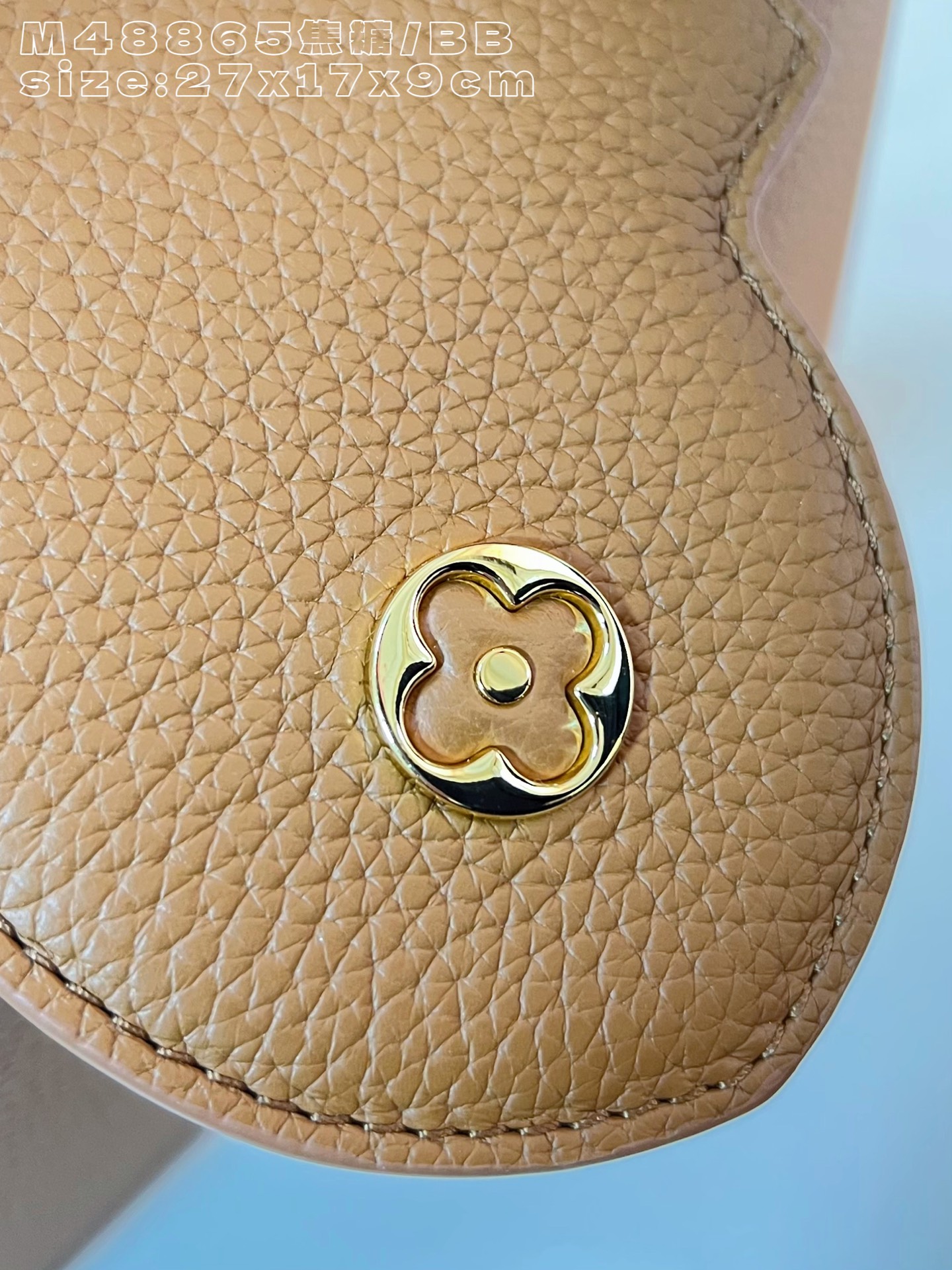 Louis Vuitton Basic Bag Cow Leather M-l-s