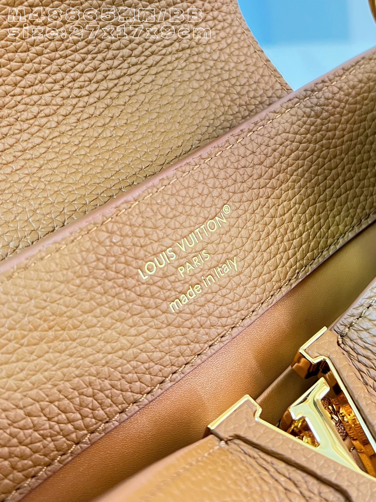 Louis Vuitton Basic Bag Cow Leather M-l-s