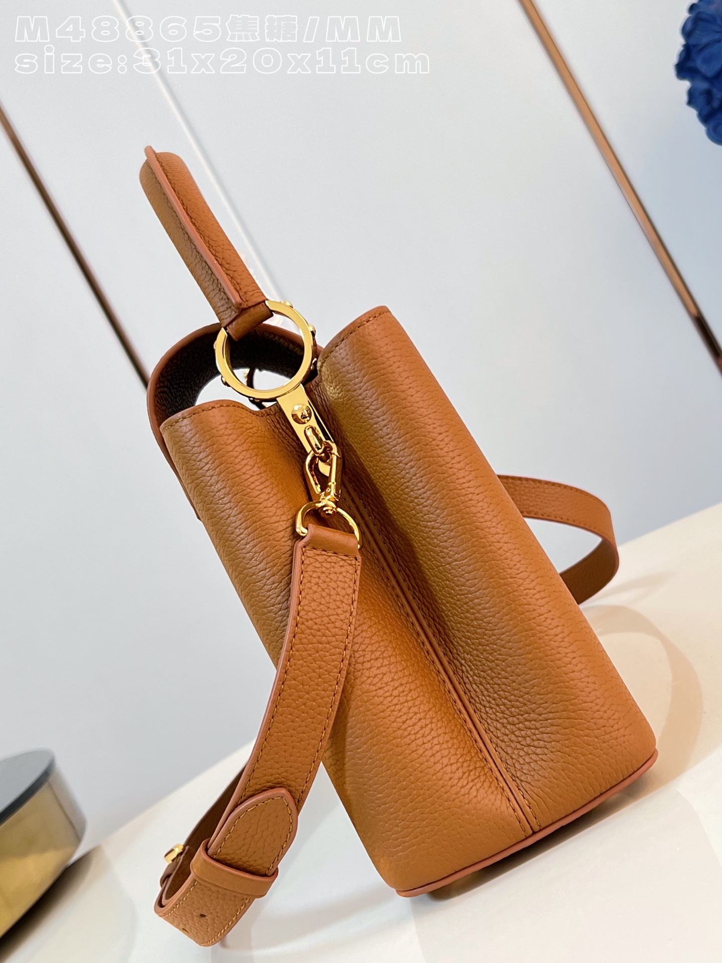 Louis Vuitton Basic Bag Cow Leather M-l-s