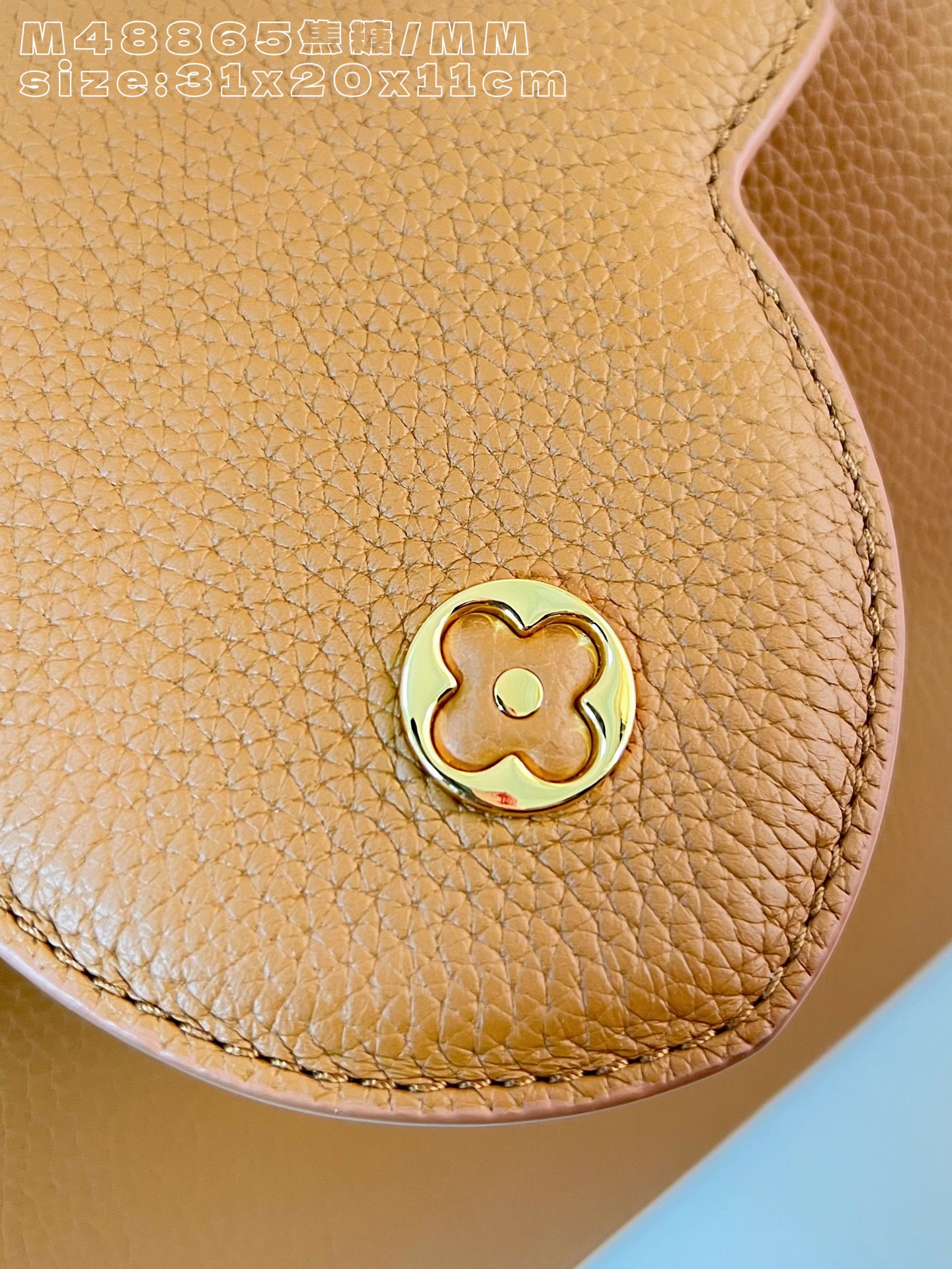 Louis Vuitton Basic Bag Cow Leather M-l-s