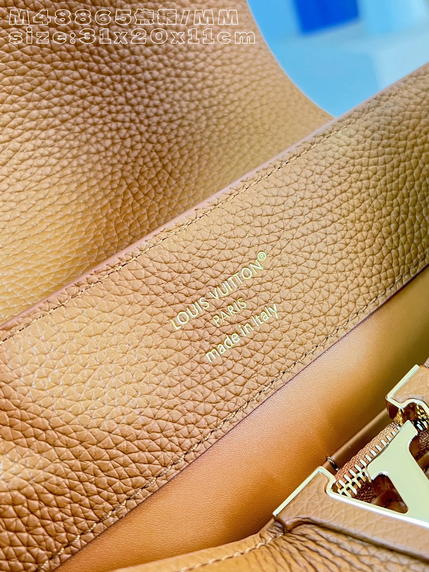 Louis Vuitton Basic Bag Cow Leather M-l-s