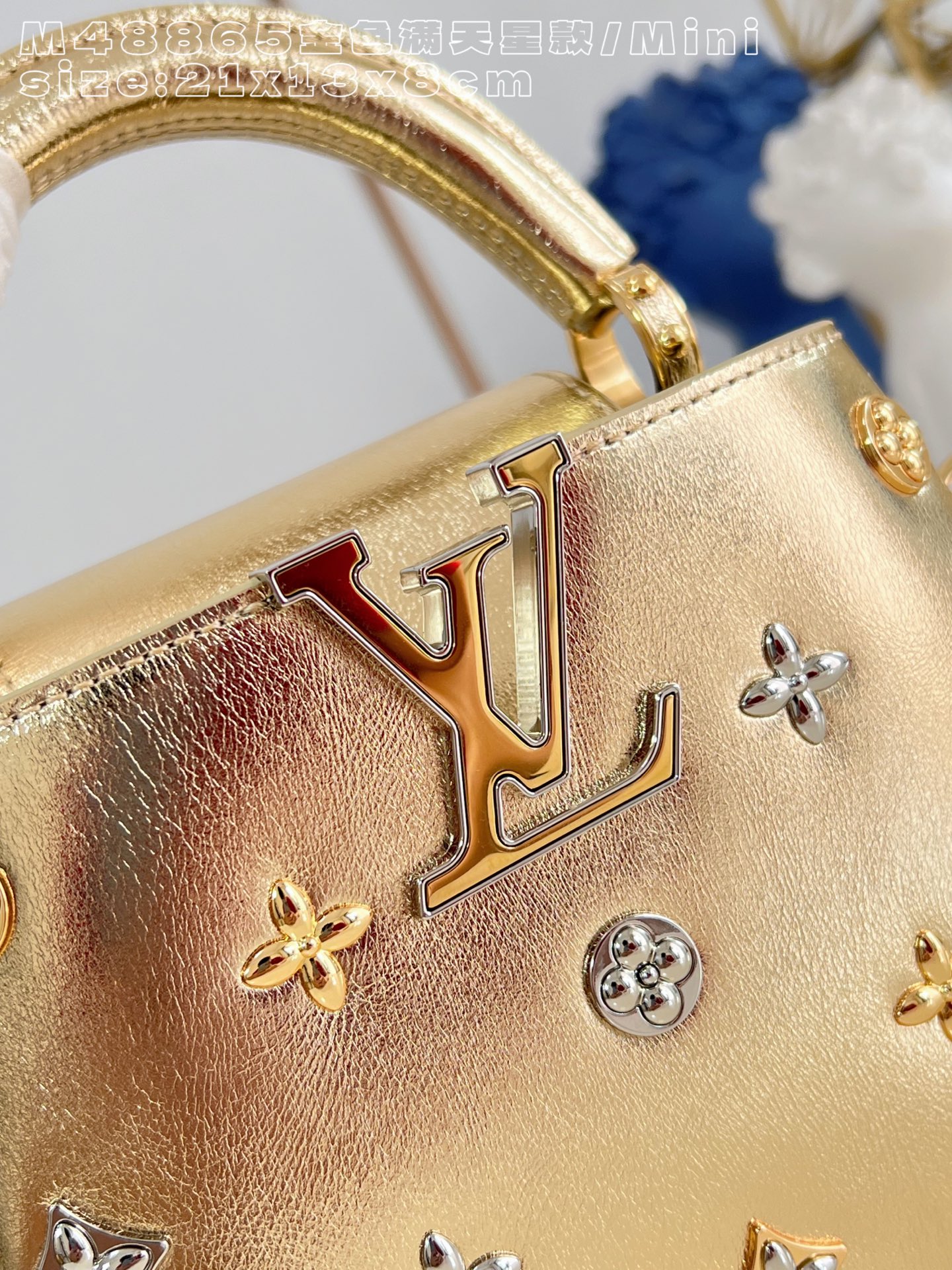 Louis Vuitton Basic Bag Gold M-l-s