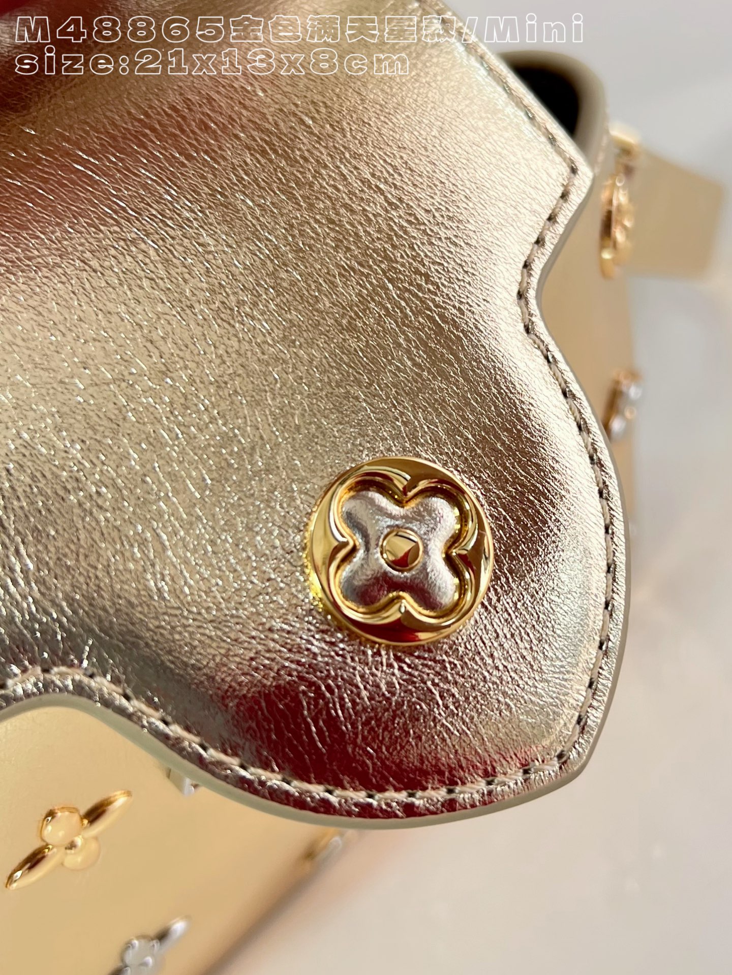 Louis Vuitton Basic Bag Gold M-l-s