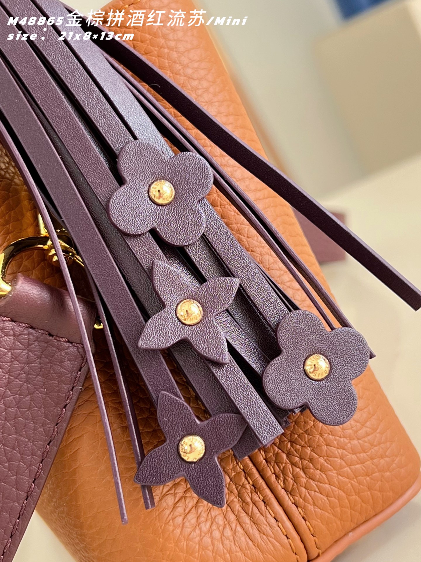 Louis Vuitton Basic Bag Cow Leather M-l-s