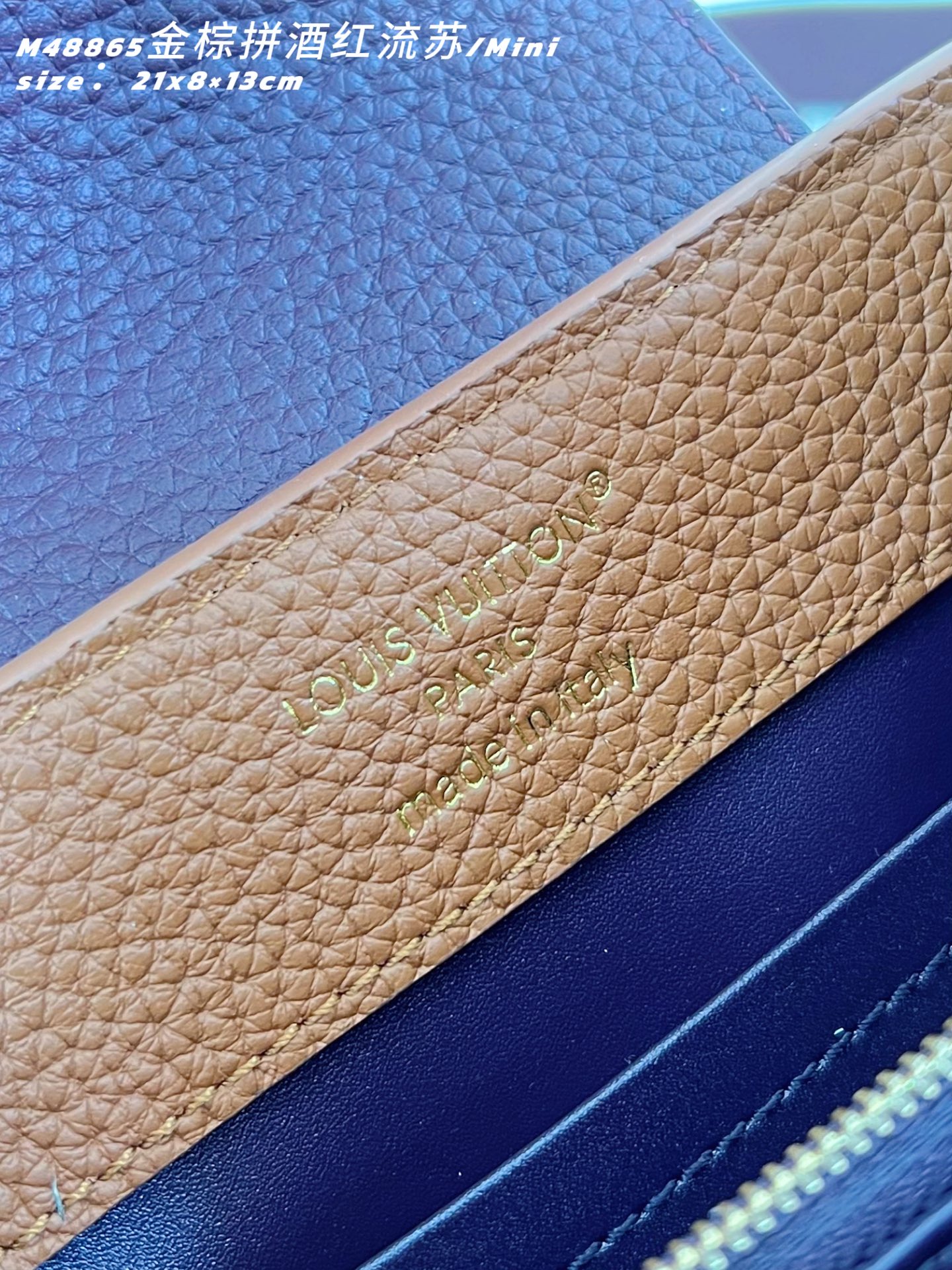 Louis Vuitton Basic Bag Cow Leather M-l-s