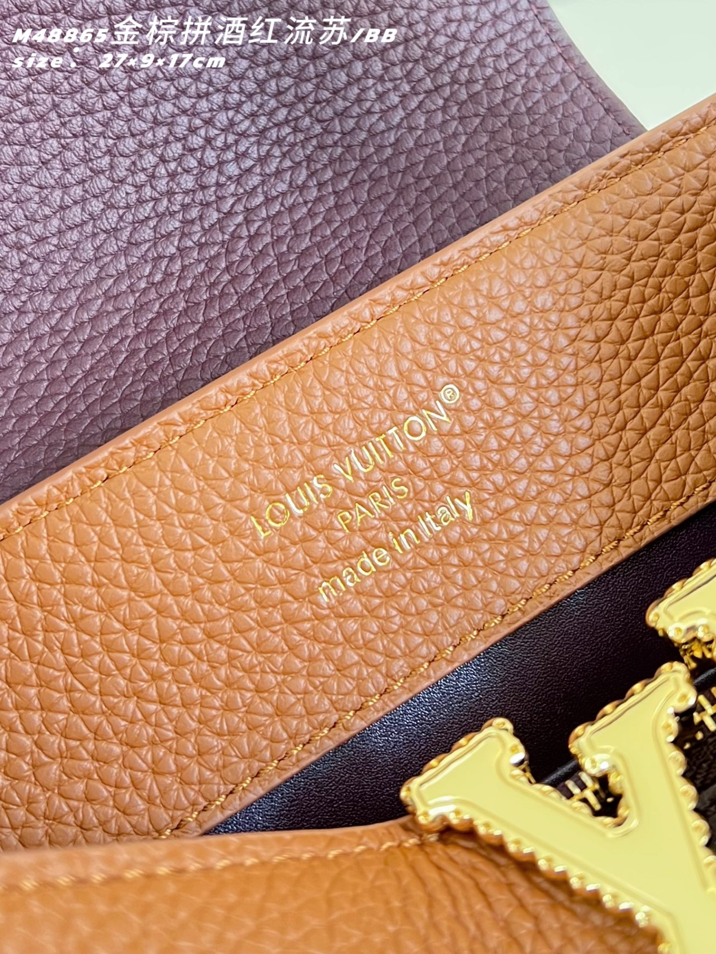 Louis Vuitton Basic Bag Cow Leather M-l-s
