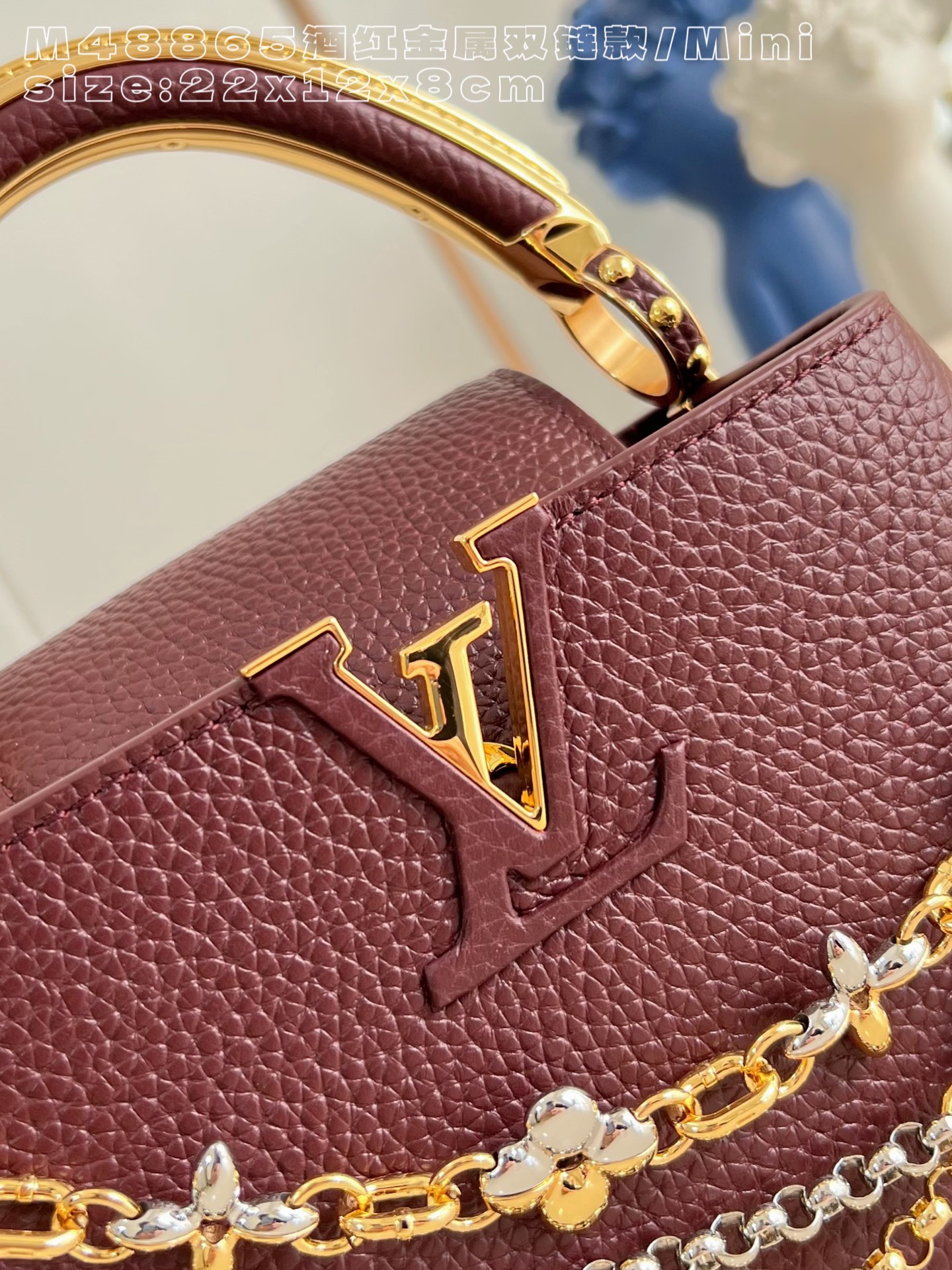 Louis Vuitton Basic Bag Cow Leather M-l-s