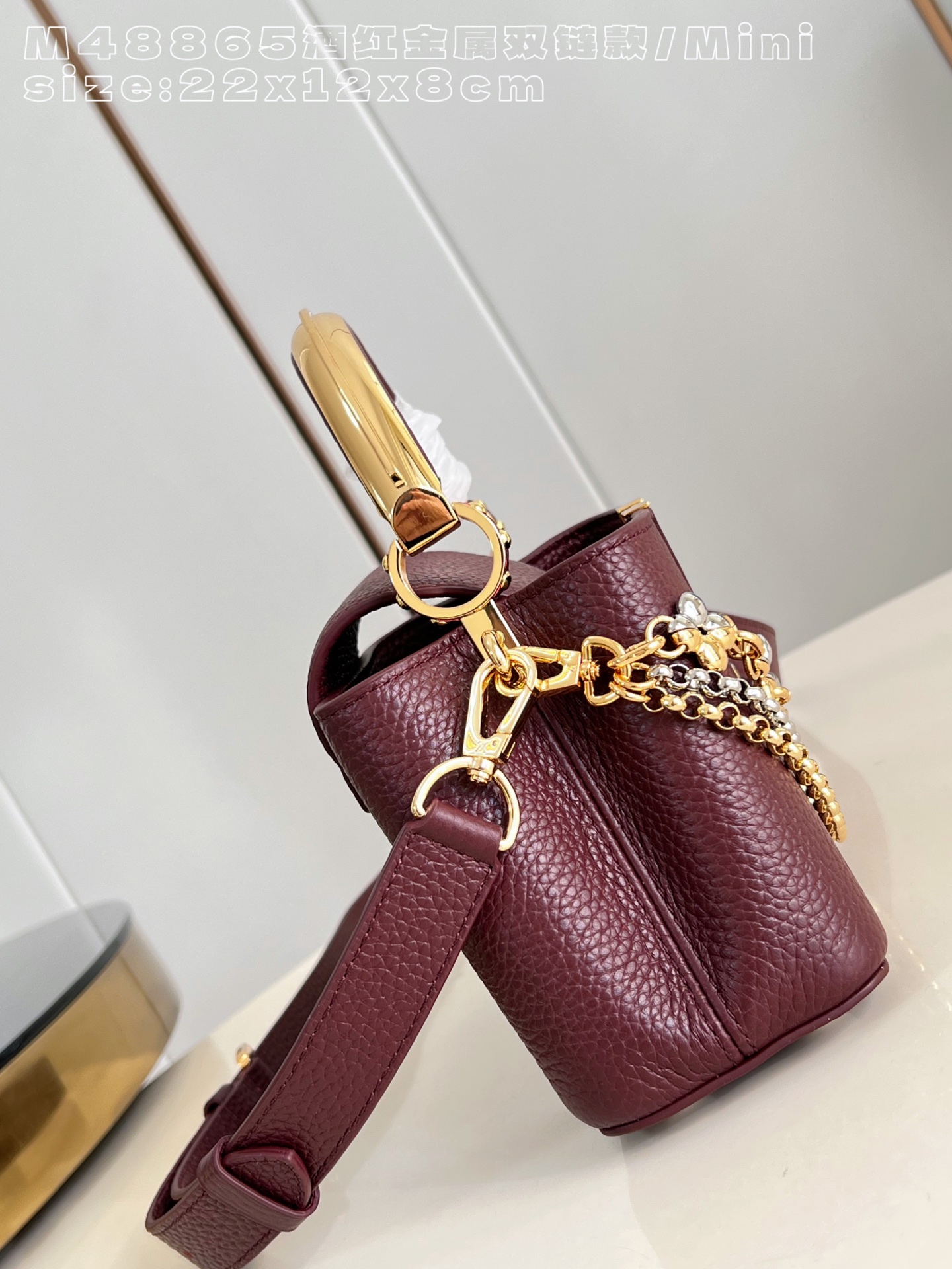 Louis Vuitton Basic Bag Cow Leather M-l-s