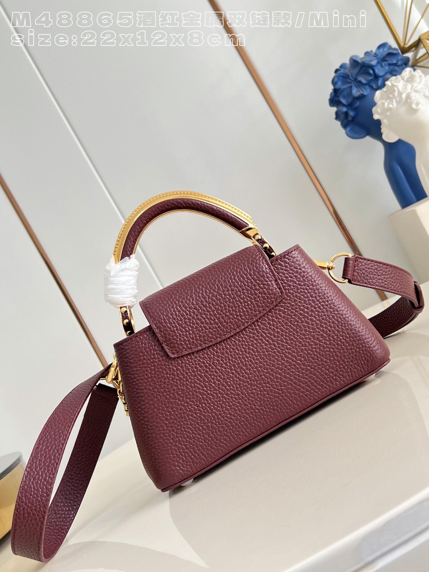 Louis Vuitton Basic Bag Cow Leather M-l-s