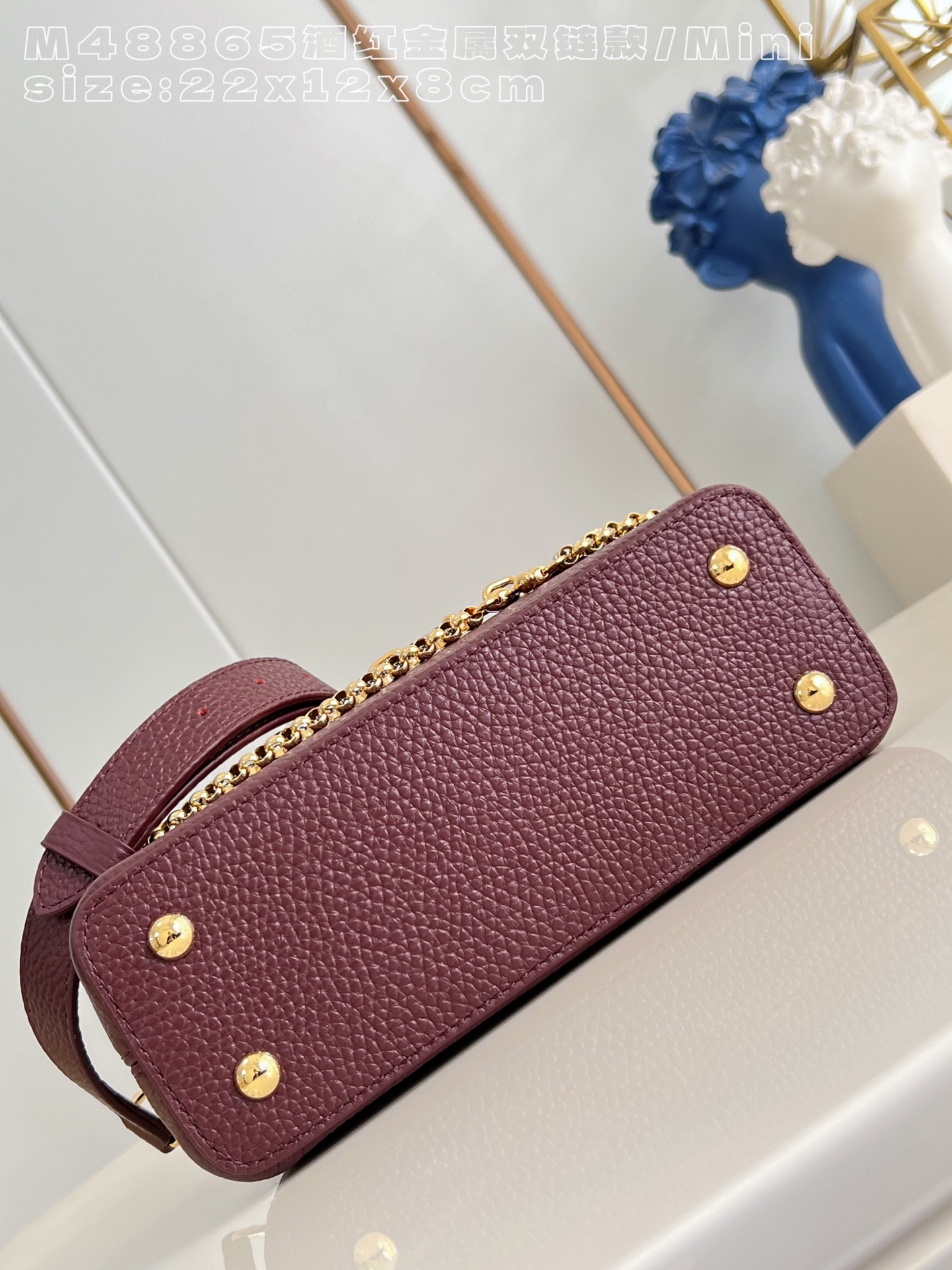 Louis Vuitton Basic Bag Cow Leather M-l-s