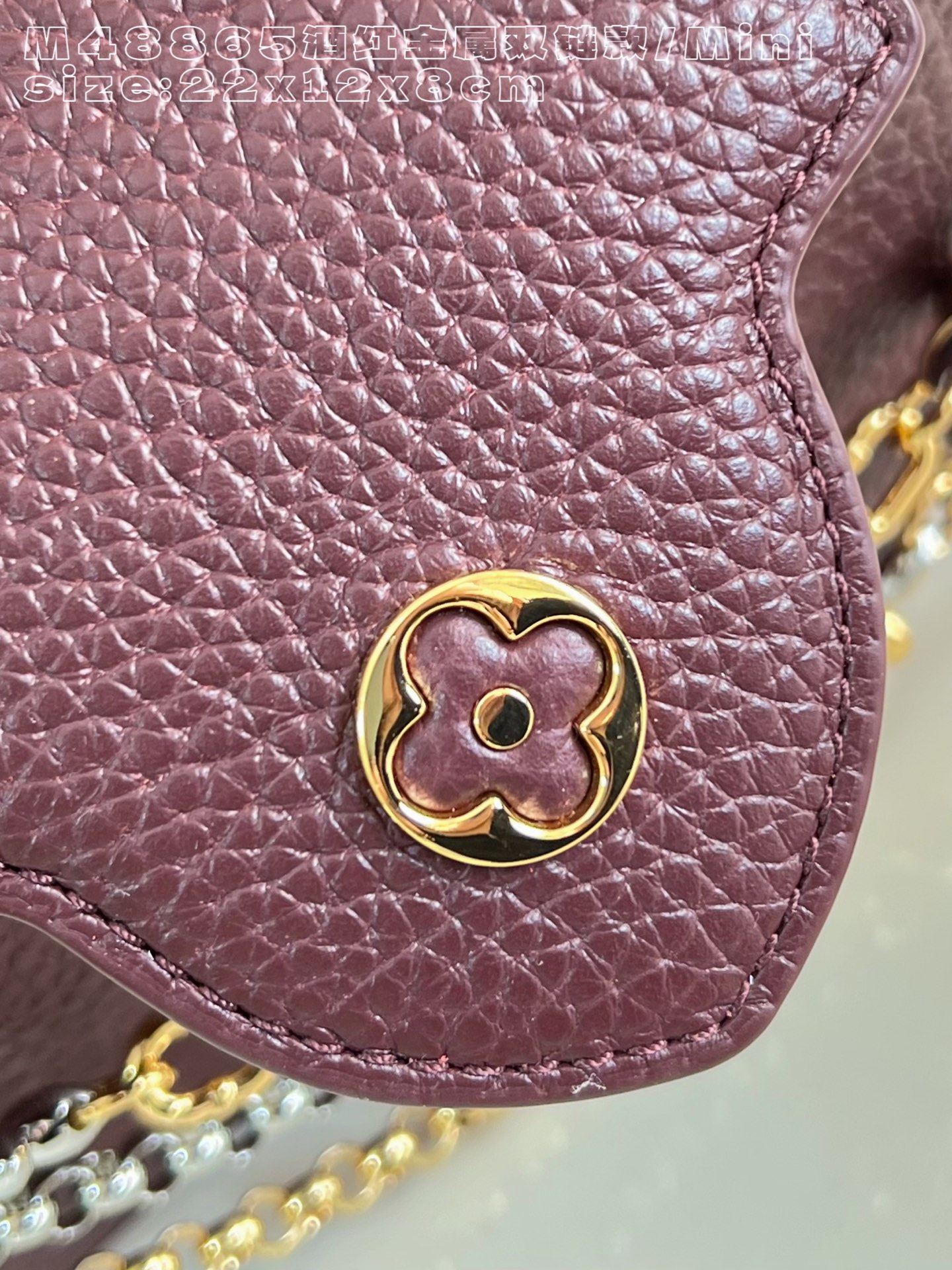 Louis Vuitton Basic Bag Cow Leather M-l-s