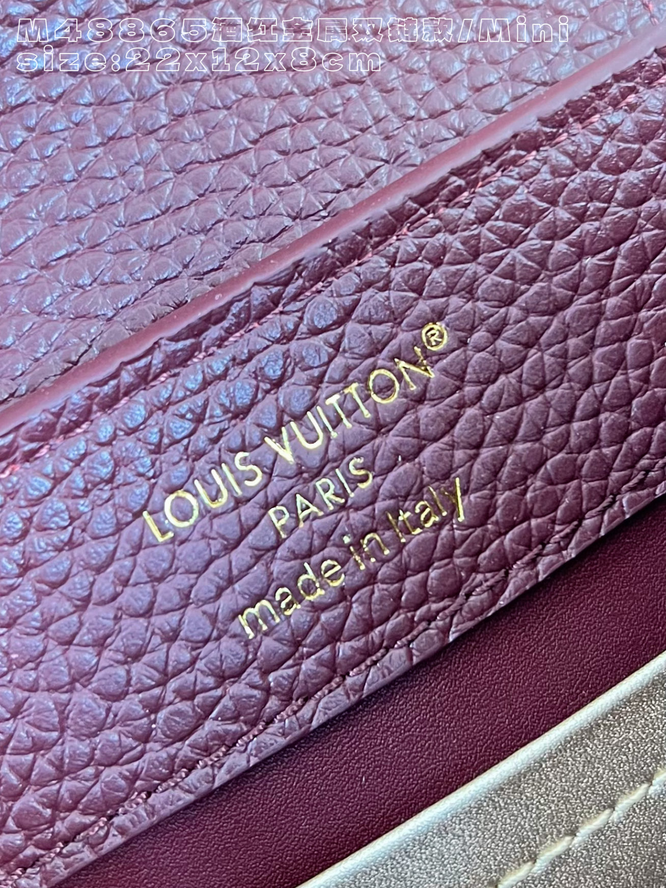 Louis Vuitton Basic Bag Cow Leather M-l-s