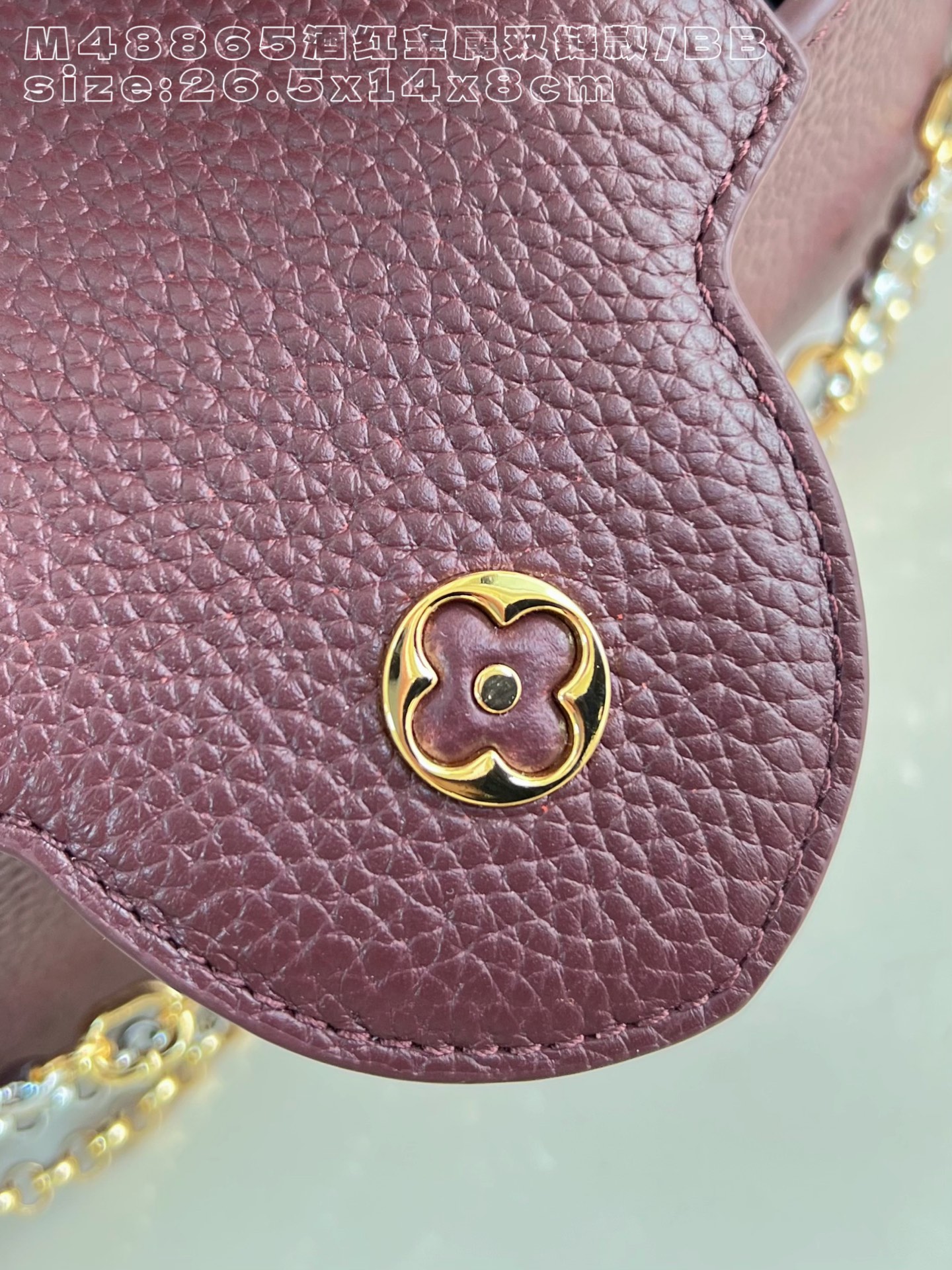 Louis Vuitton Basic Bag Cow Leather M-l-s