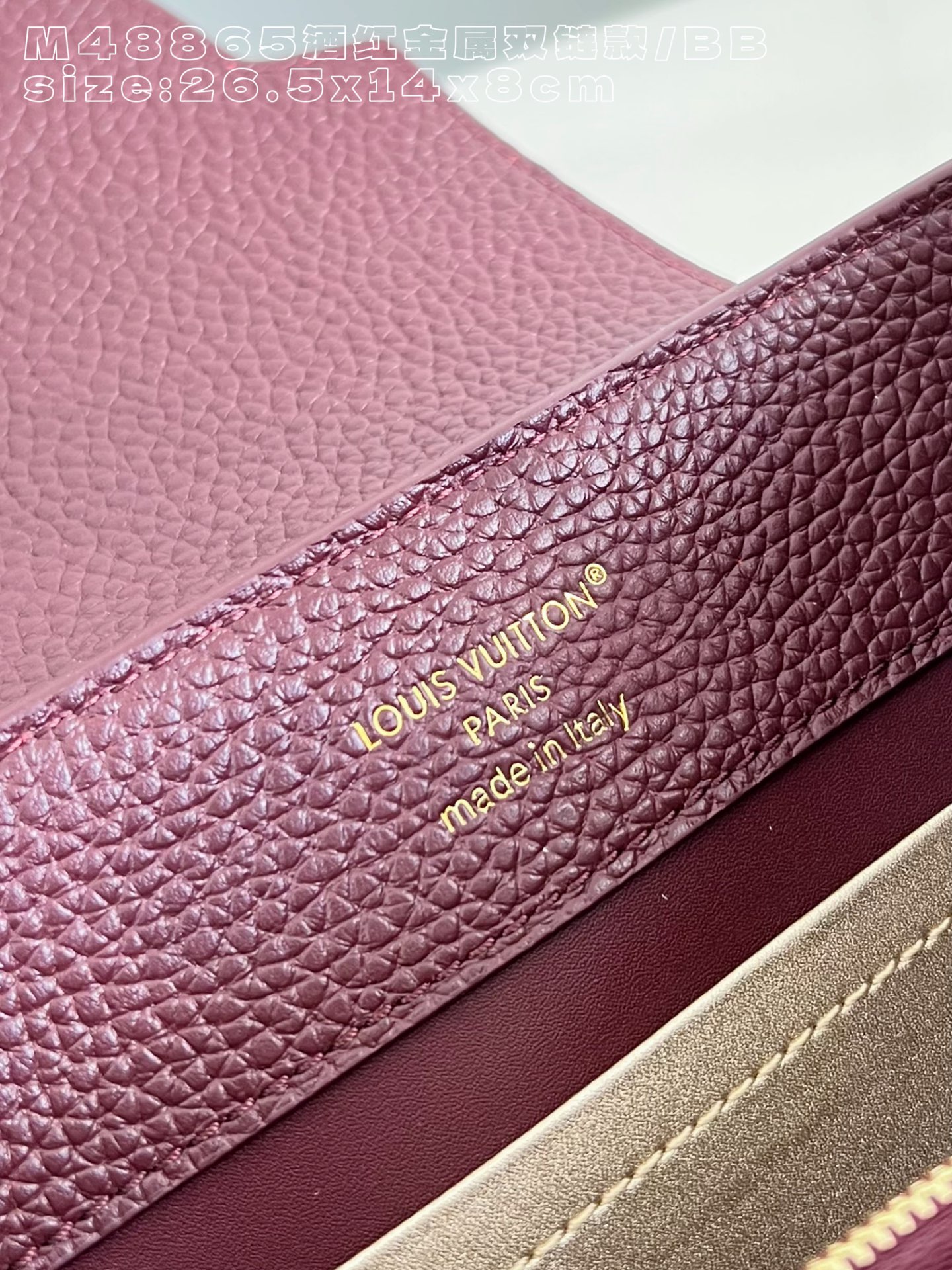 Louis Vuitton Basic Bag Cow Leather M-l-s